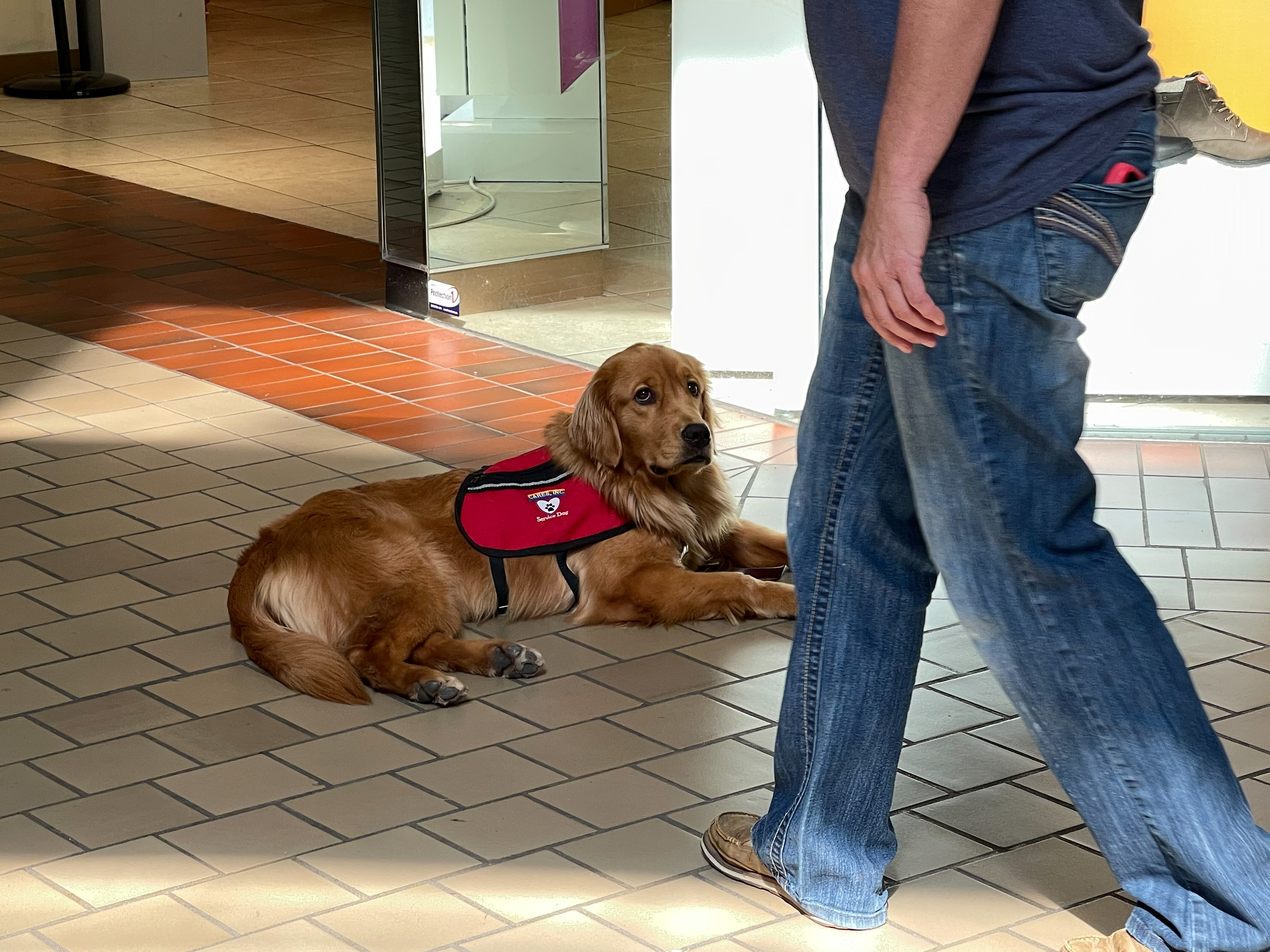 img 5304jpg by Julia Duprey