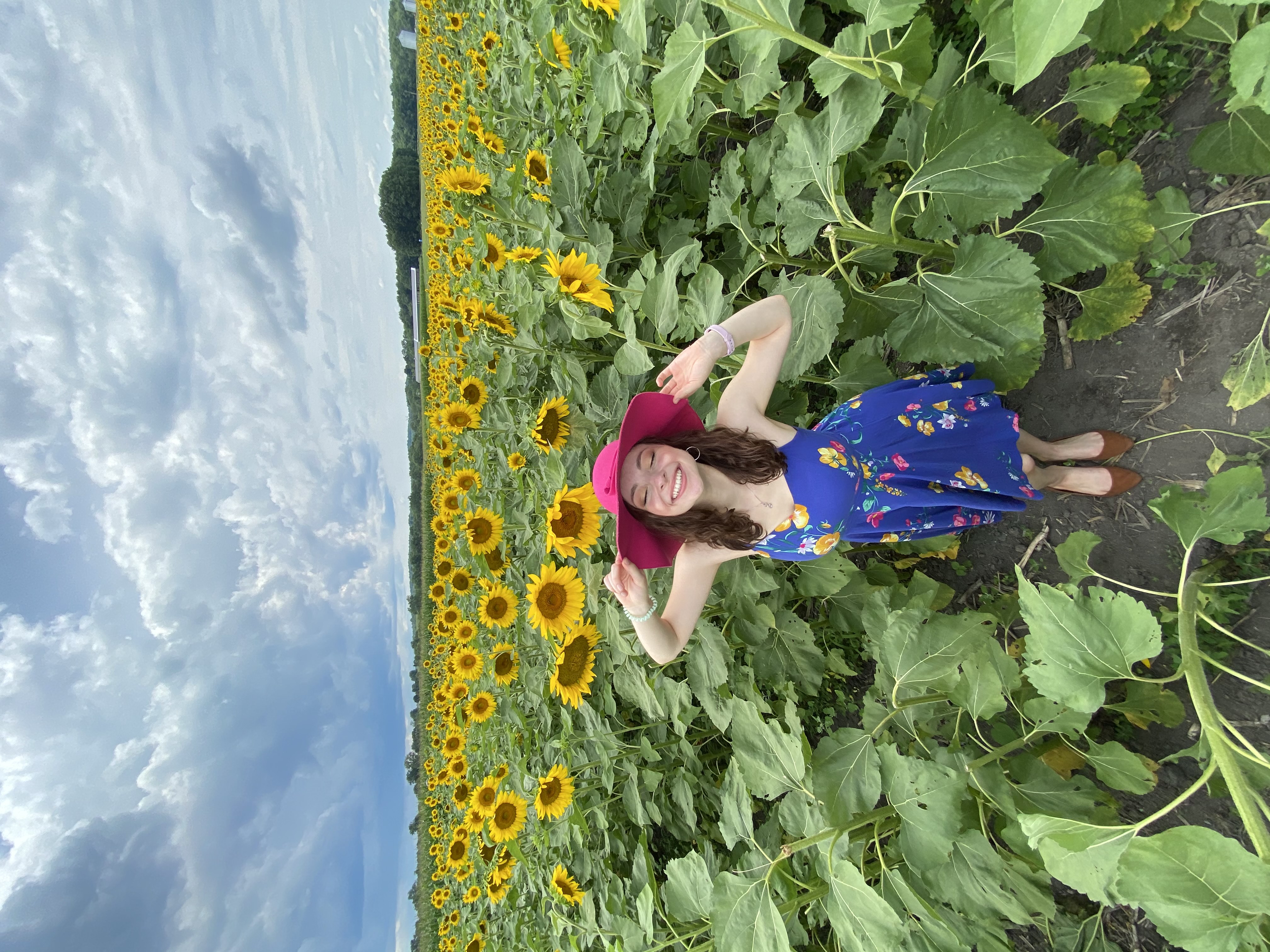 img 4348jpg by Wilfredo Velez