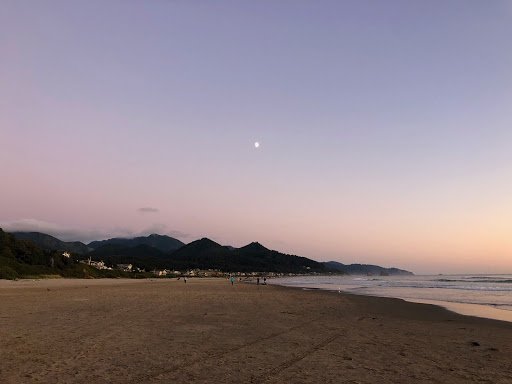 oregon coast herojpg by Grace Korthuis?width=698&height=466&fit=crop&auto=webp&dpr=4