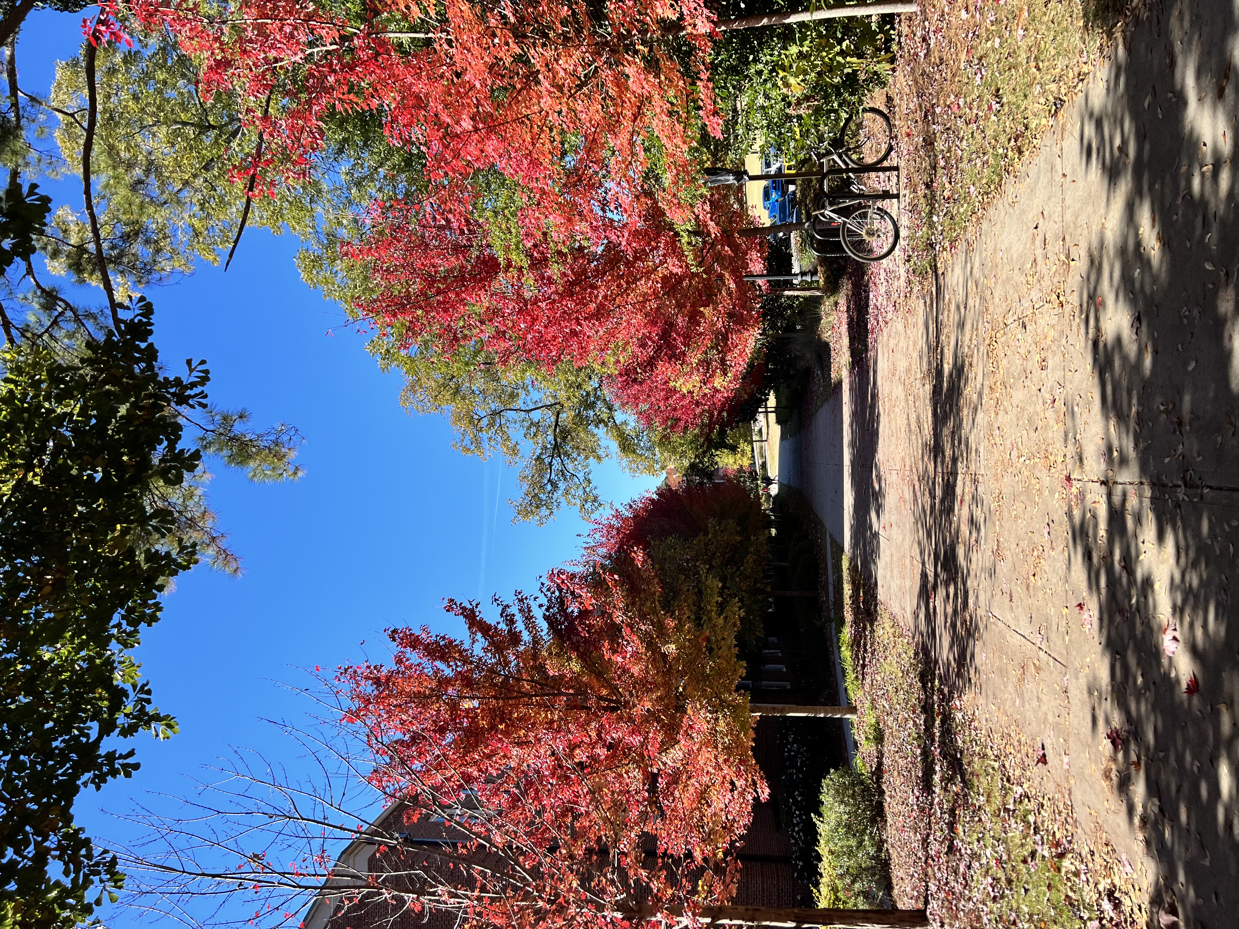 74e6ebc20d5842fba818eab16e012b04jpegjpg by Julia Genna