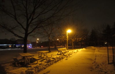 A pathway through a park during the winter season.