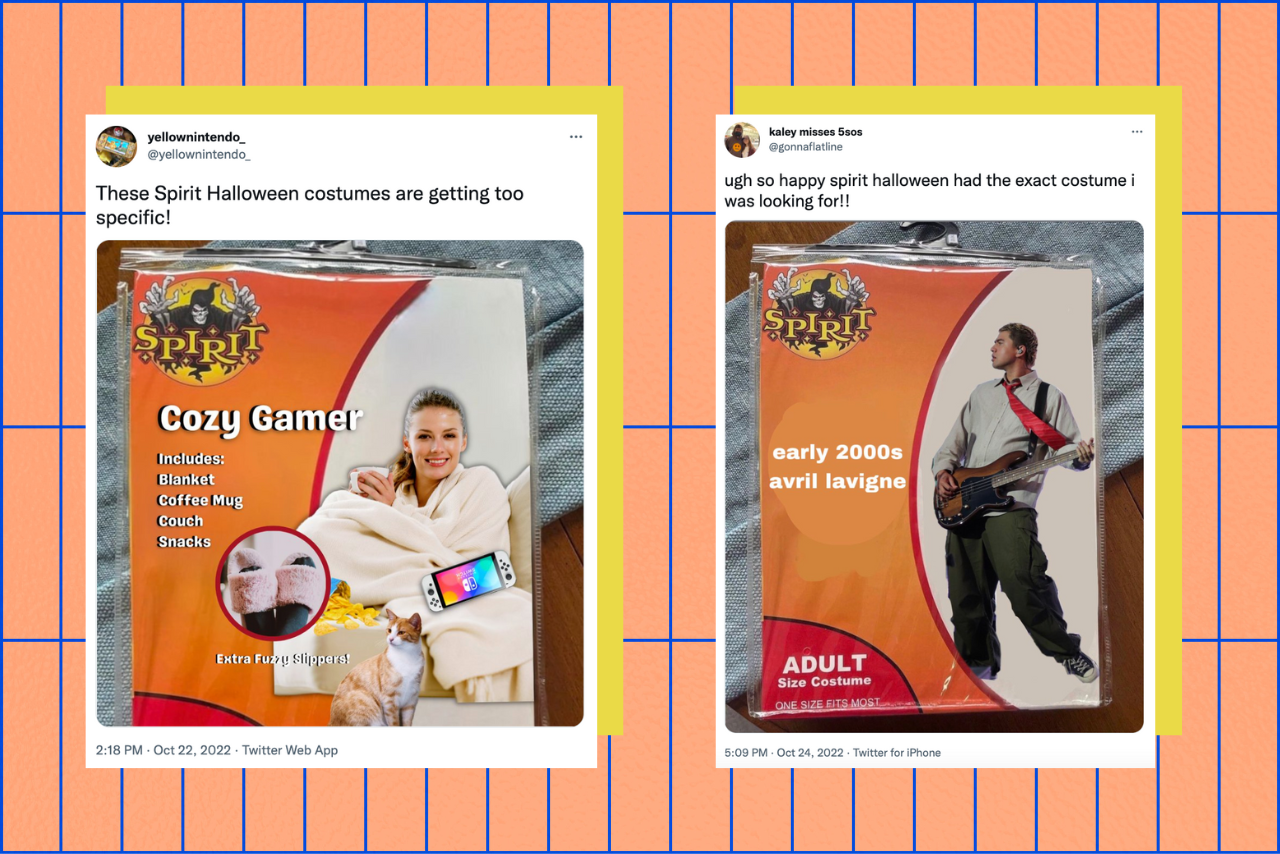 spirit halloween costume memes?width=698&height=466&fit=crop&auto=webp&dpr=4