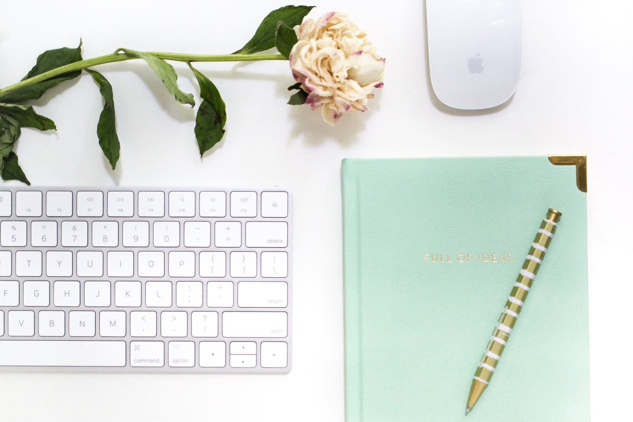 keyboard journal and a pink rosejpg by Unsplash?width=698&height=466&fit=crop&auto=webp&dpr=4