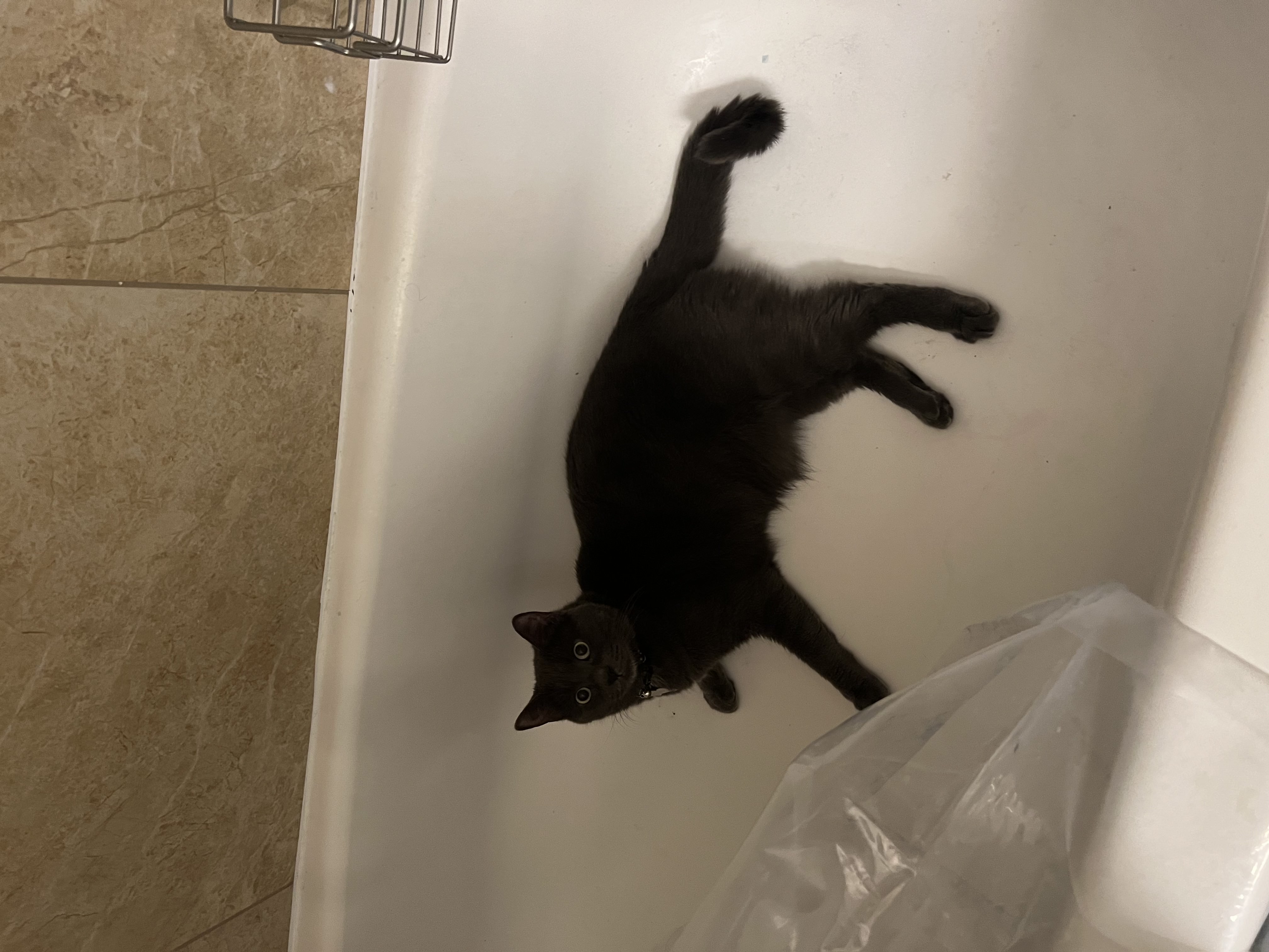 img 5173jpg by Abby Leeds?width=698&height=466&fit=crop&auto=webp&dpr=4