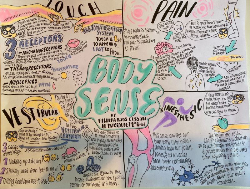 hc photojpegjpg by Filippa Roos Olsson?width=698&height=466&fit=crop&auto=webp&dpr=4