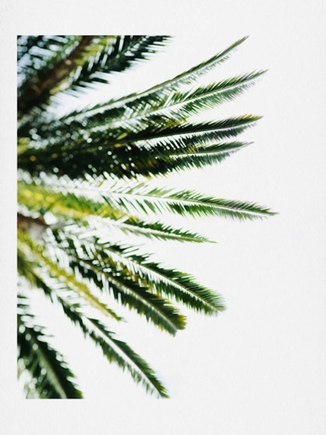 Screen Shot 2020 09 24 at 111913 AM