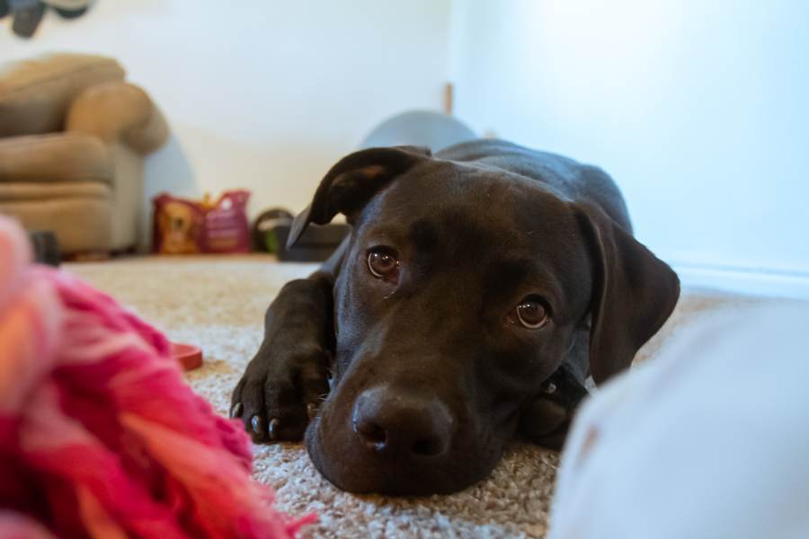 img 3315jpg by Justine Nguyen