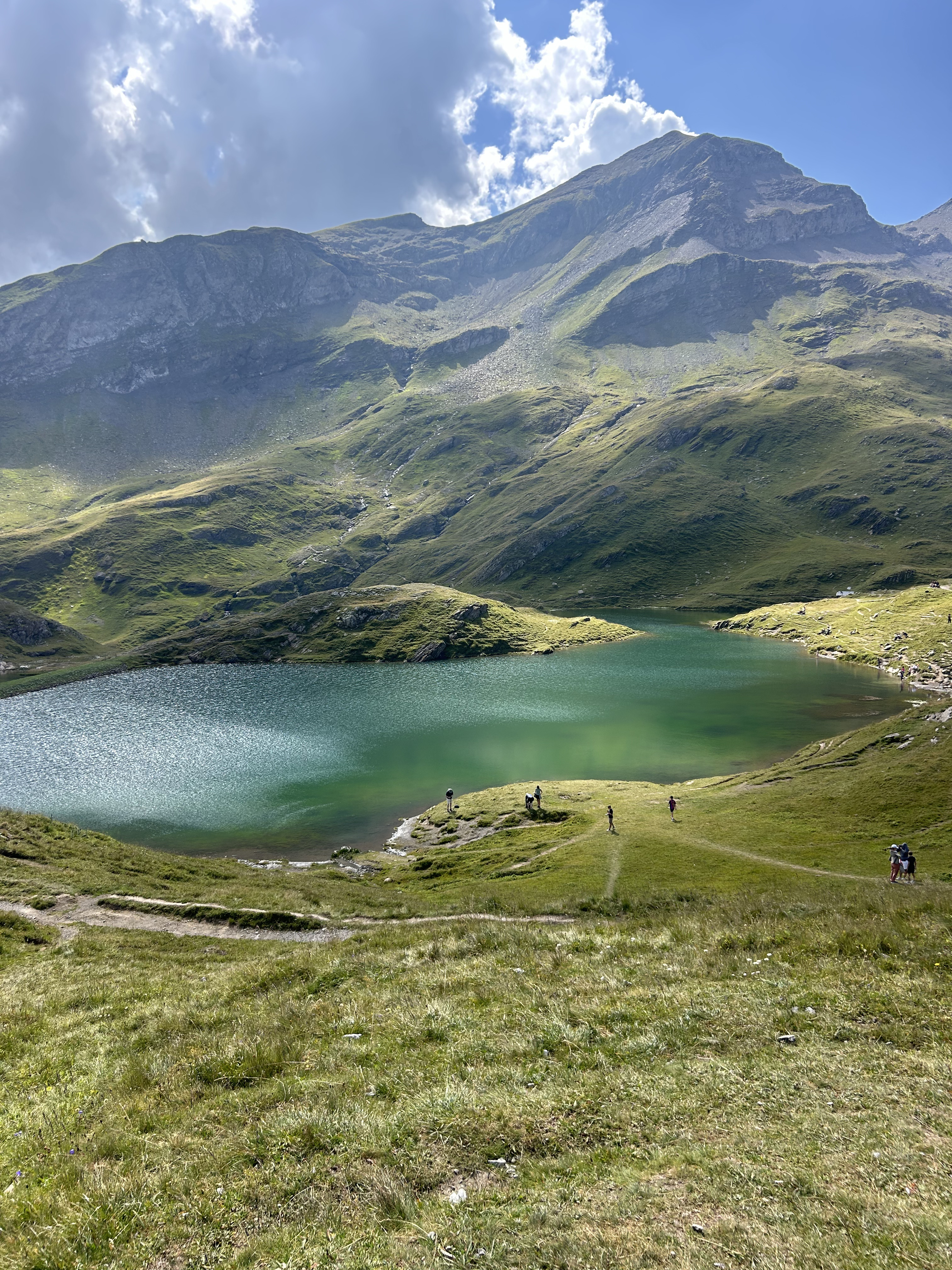 img 7594jpg by Sarah Kim?width=698&height=466&fit=crop&auto=webp&dpr=4