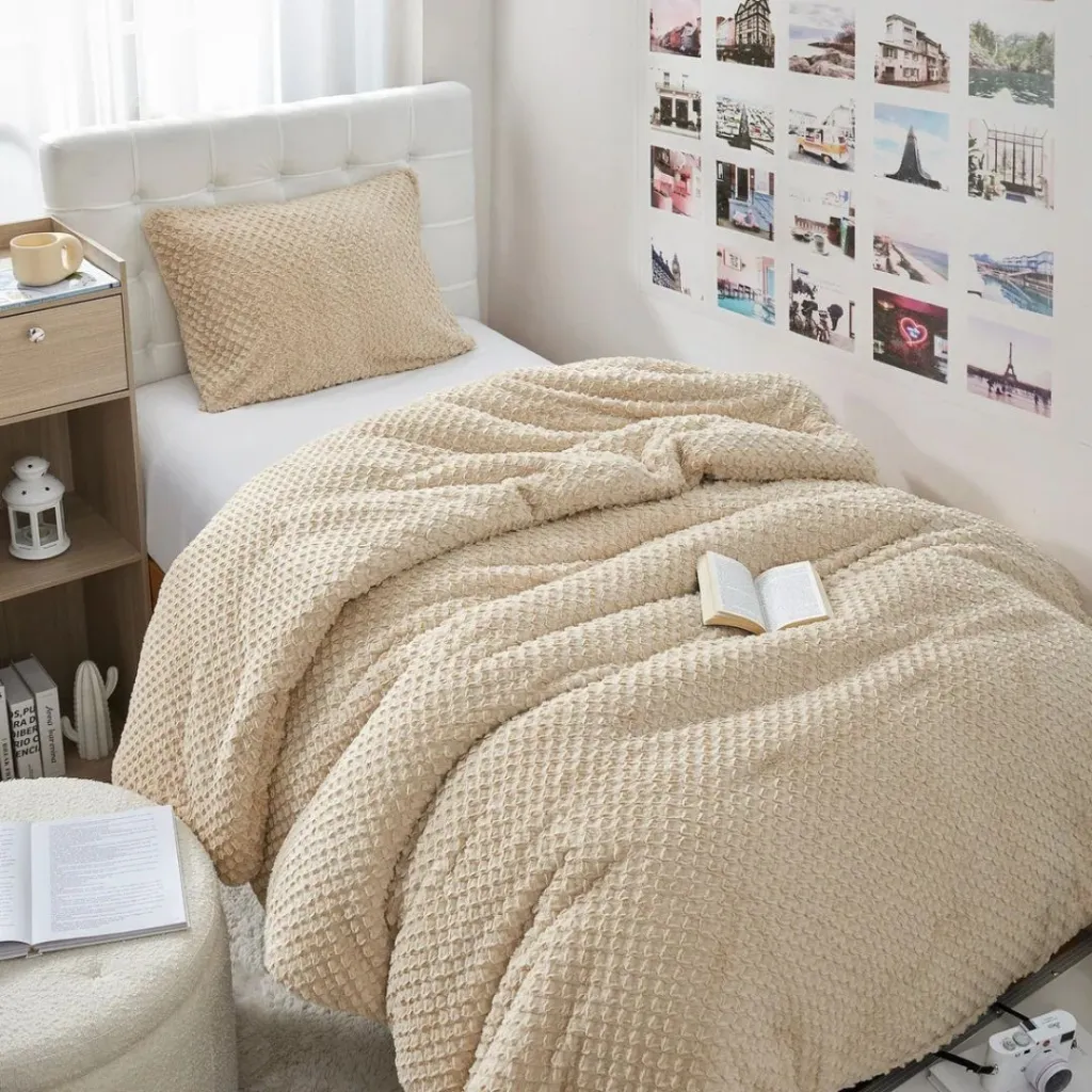 13?width=1024&height=1024&fit=cover&auto=webp&dpr=4