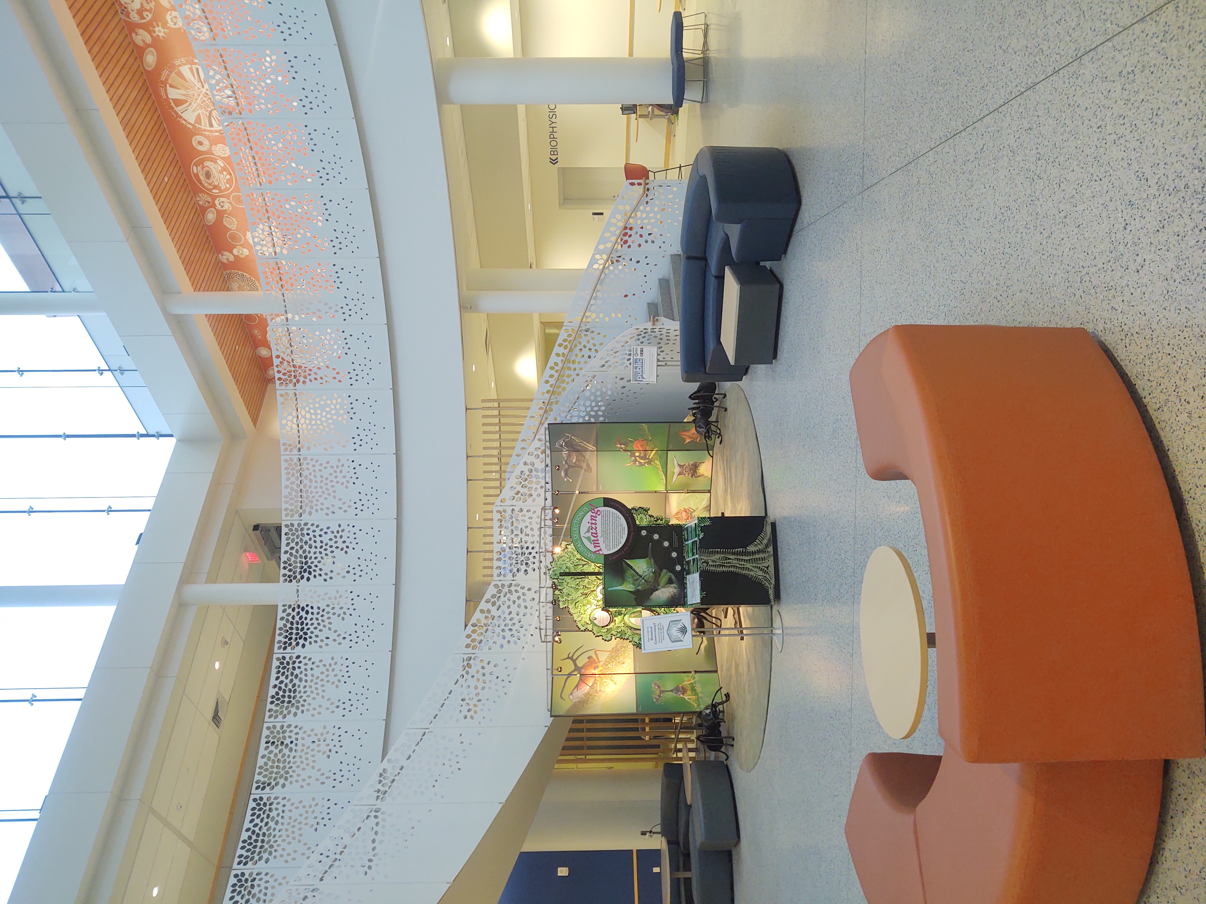 Empty science building foyer