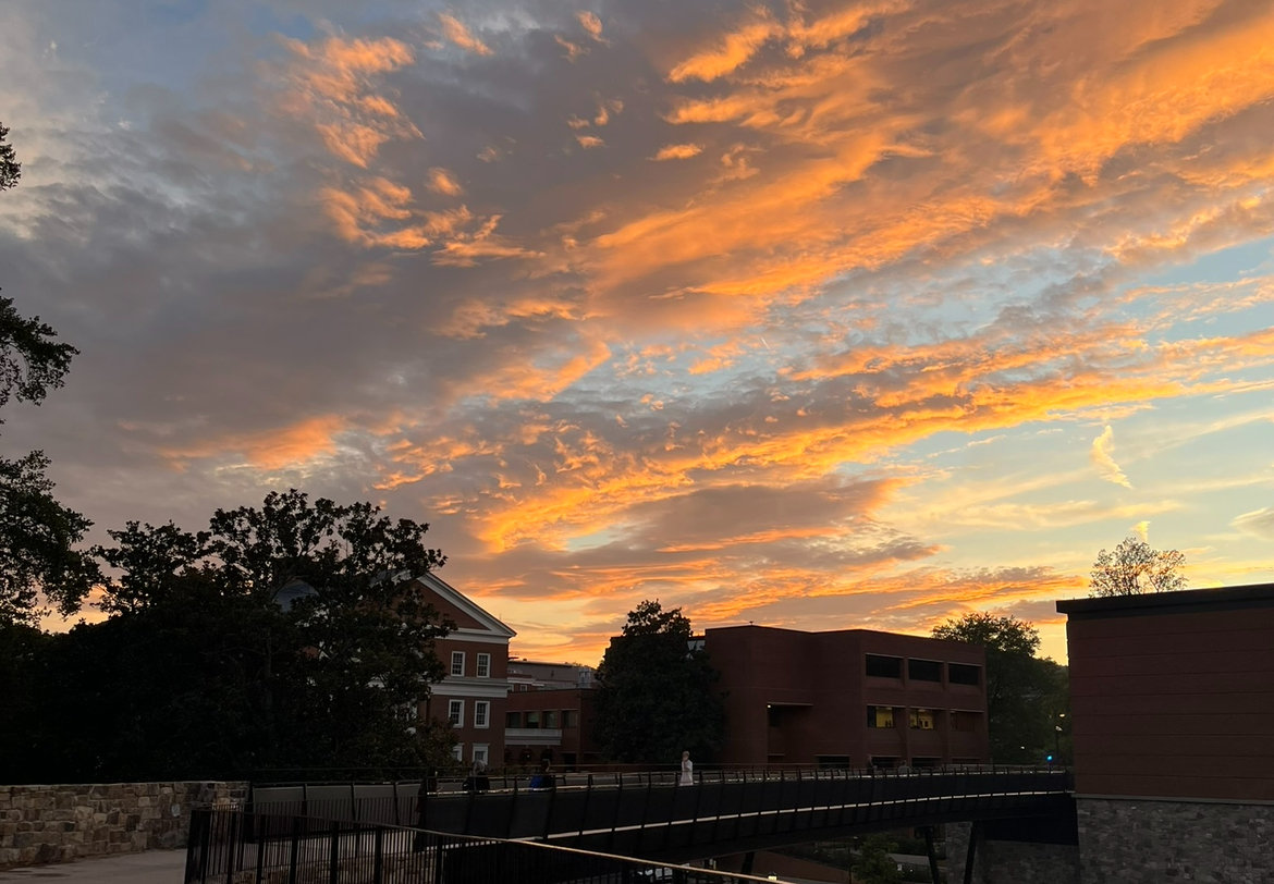 img 9875jpg by Shomita Mahmud?width=698&height=466&fit=crop&auto=webp&dpr=4