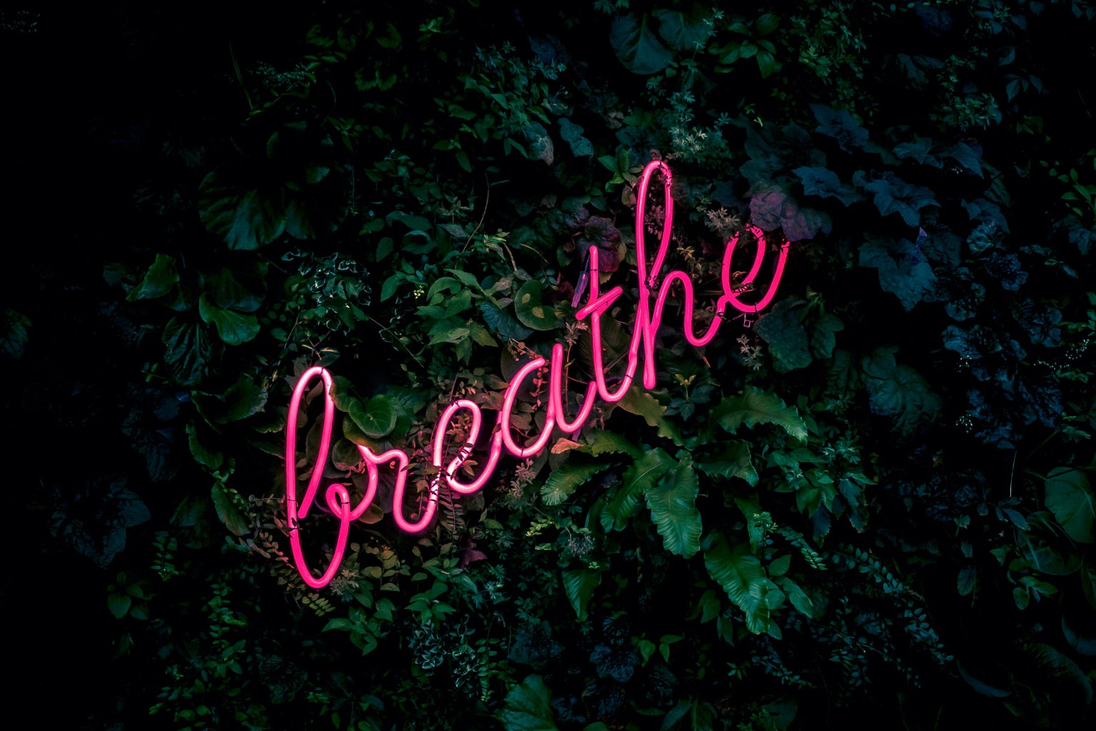 The background are leaves with the hot pink neon sign "breathe"