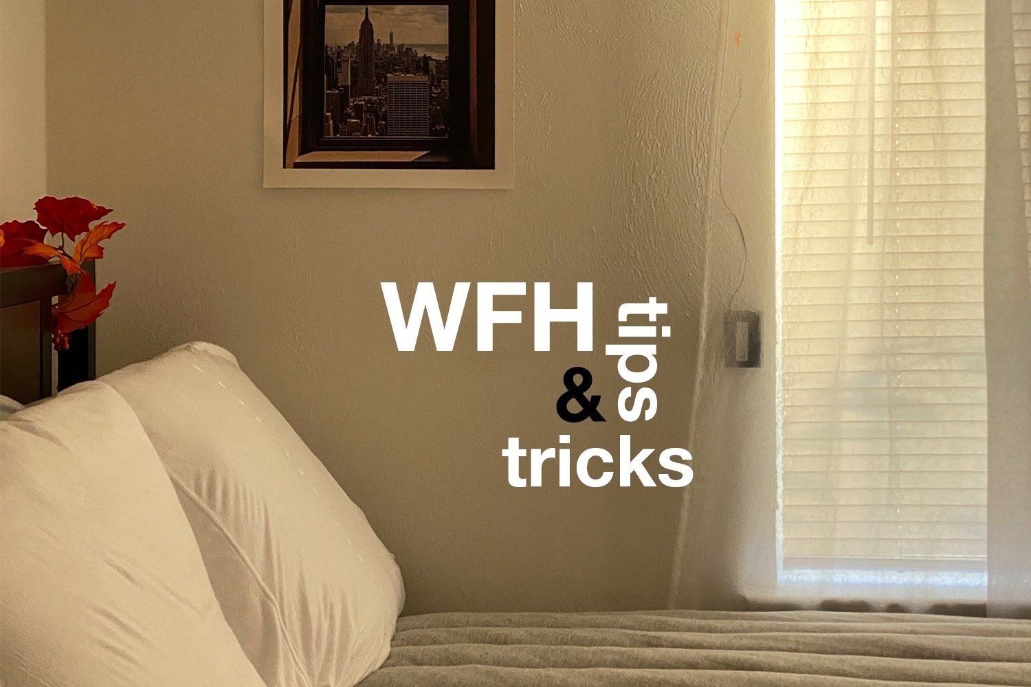 wfh hero imagepng by Brianne Petrone