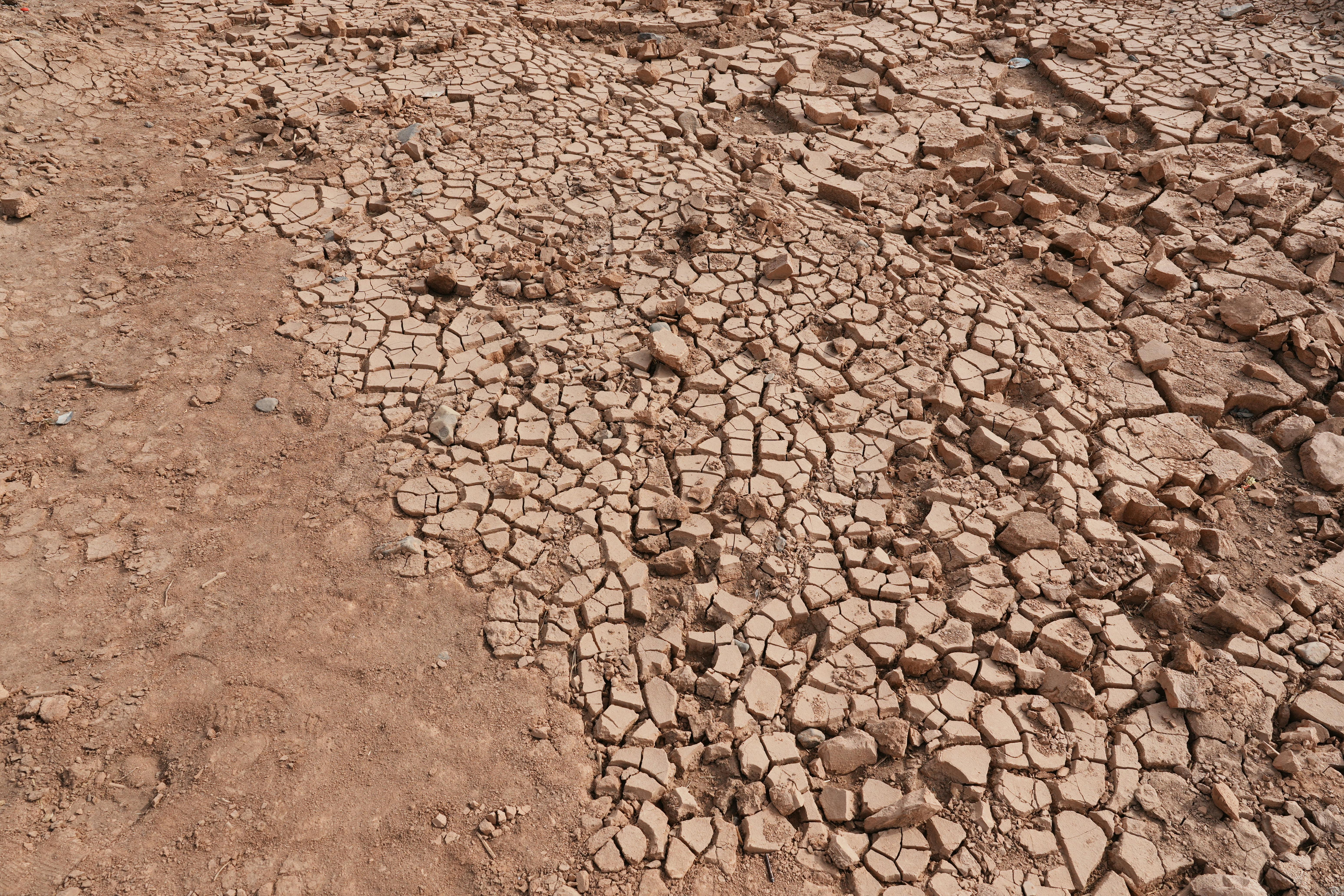 arid landscape with cracked ground