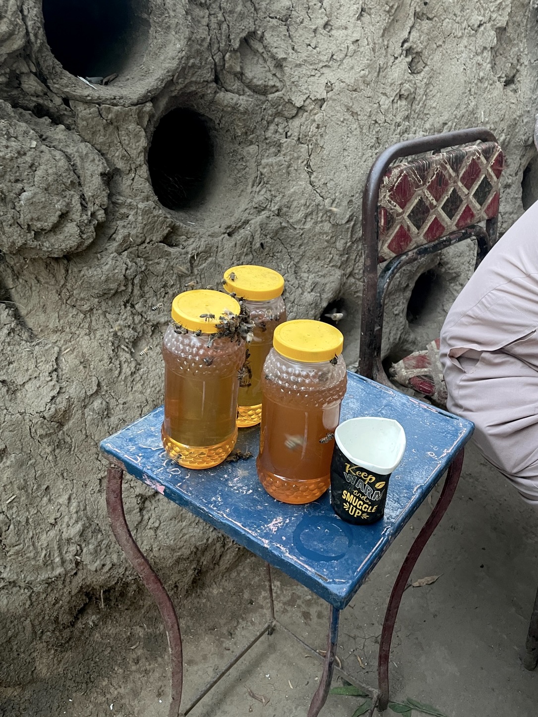 cairo honey and bees