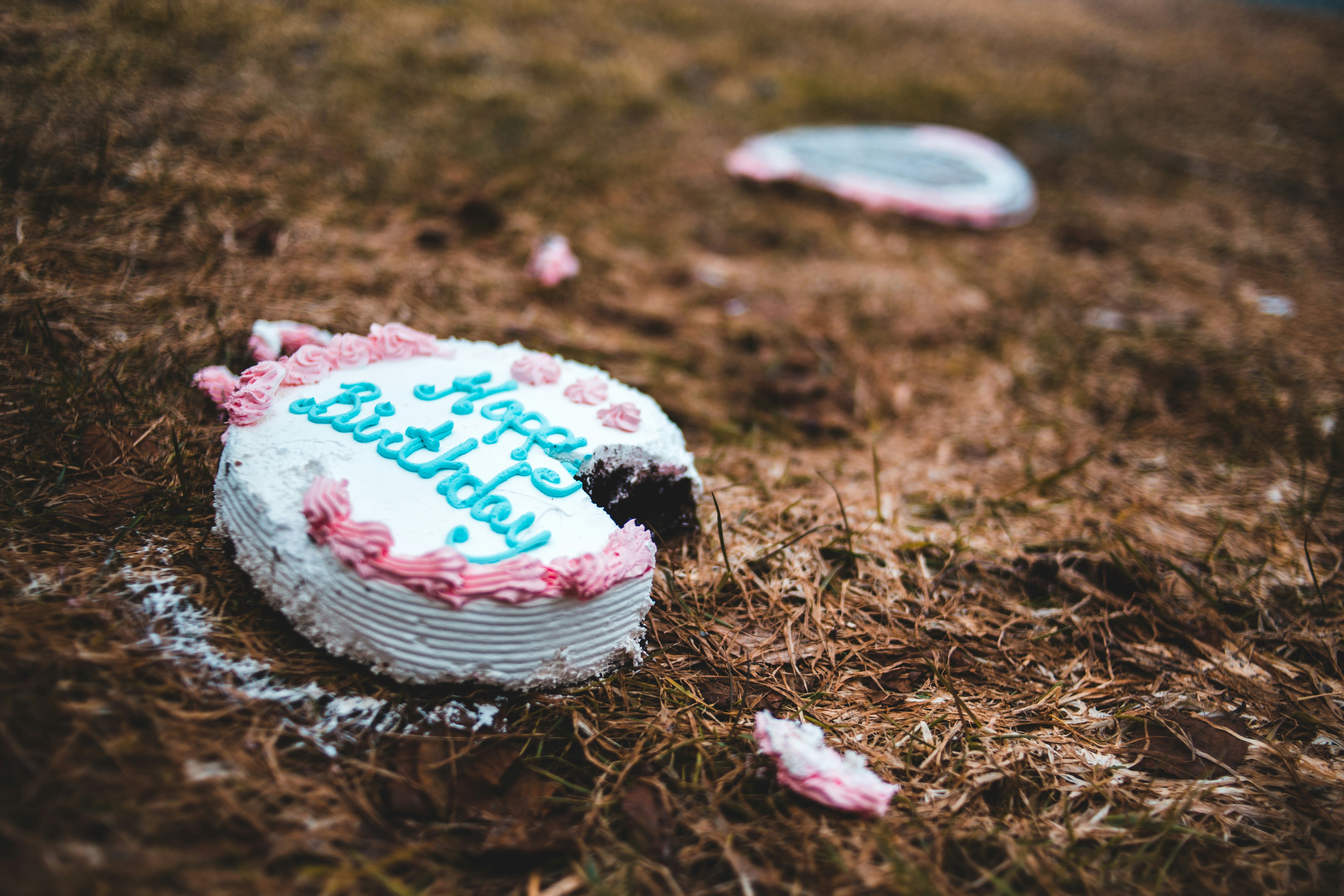 \"happy birthday cake on brown dried leaves\" \"birthday fail\"