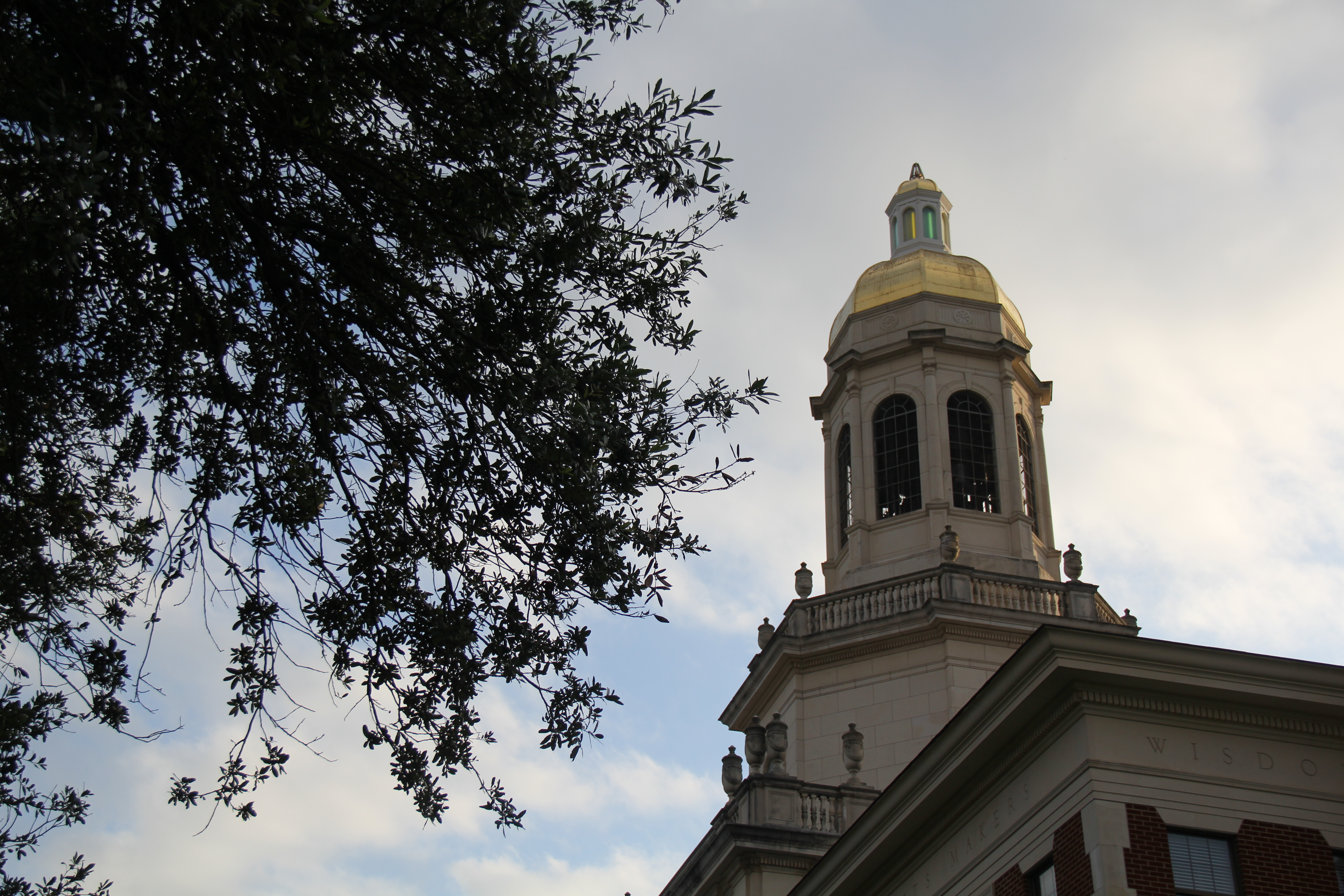 Pat Neff Hall at Baylor University at sunset with a tree peeking in on the left