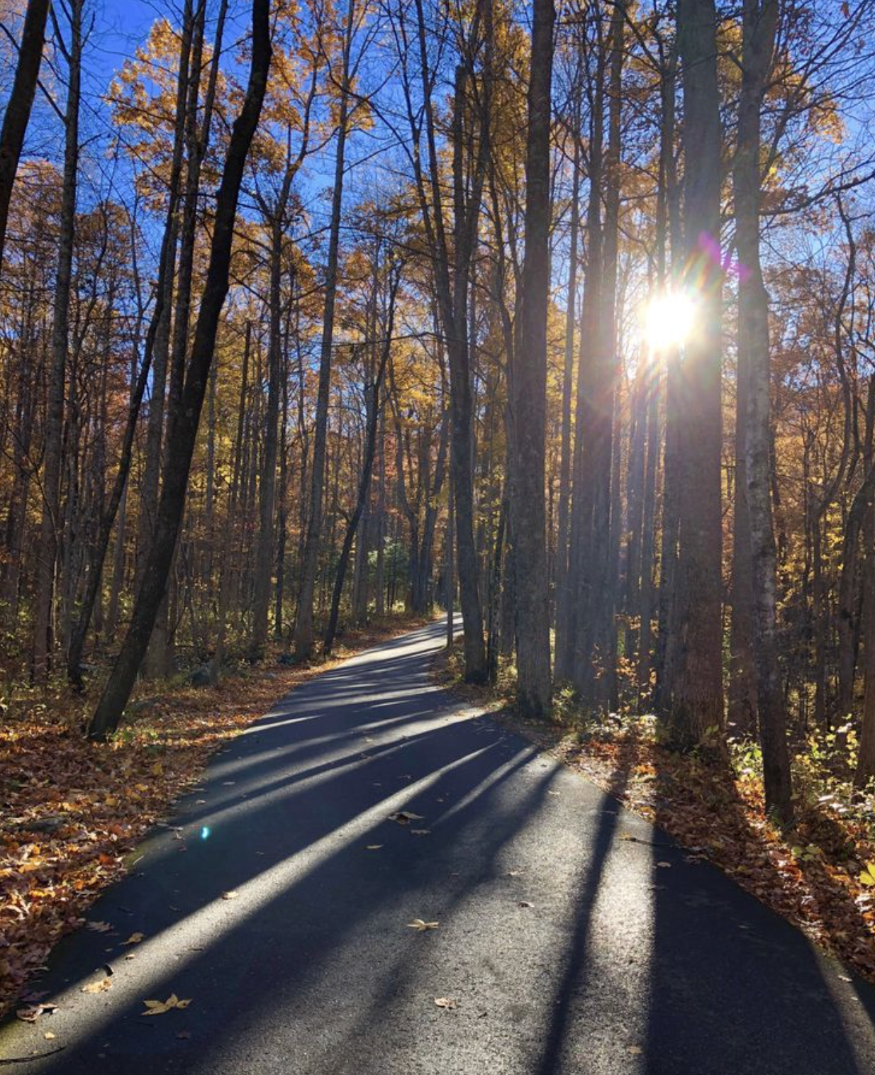 screenshot 20260112 at 21943 pmpng by Bella Von Der Heide?width=698&height=466&fit=crop&auto=webp&dpr=4