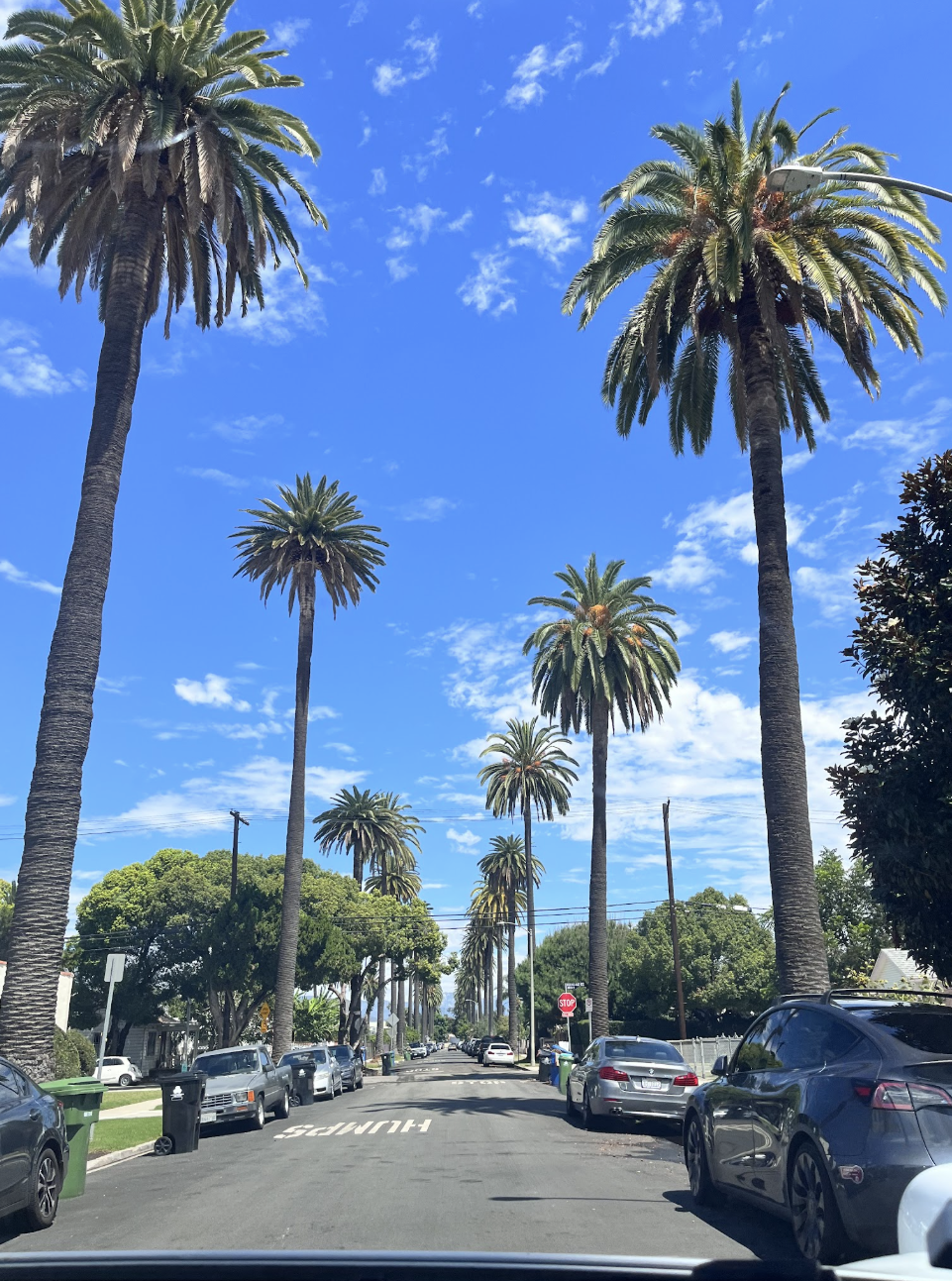 Photo of blue skies, palm trees, from a car view