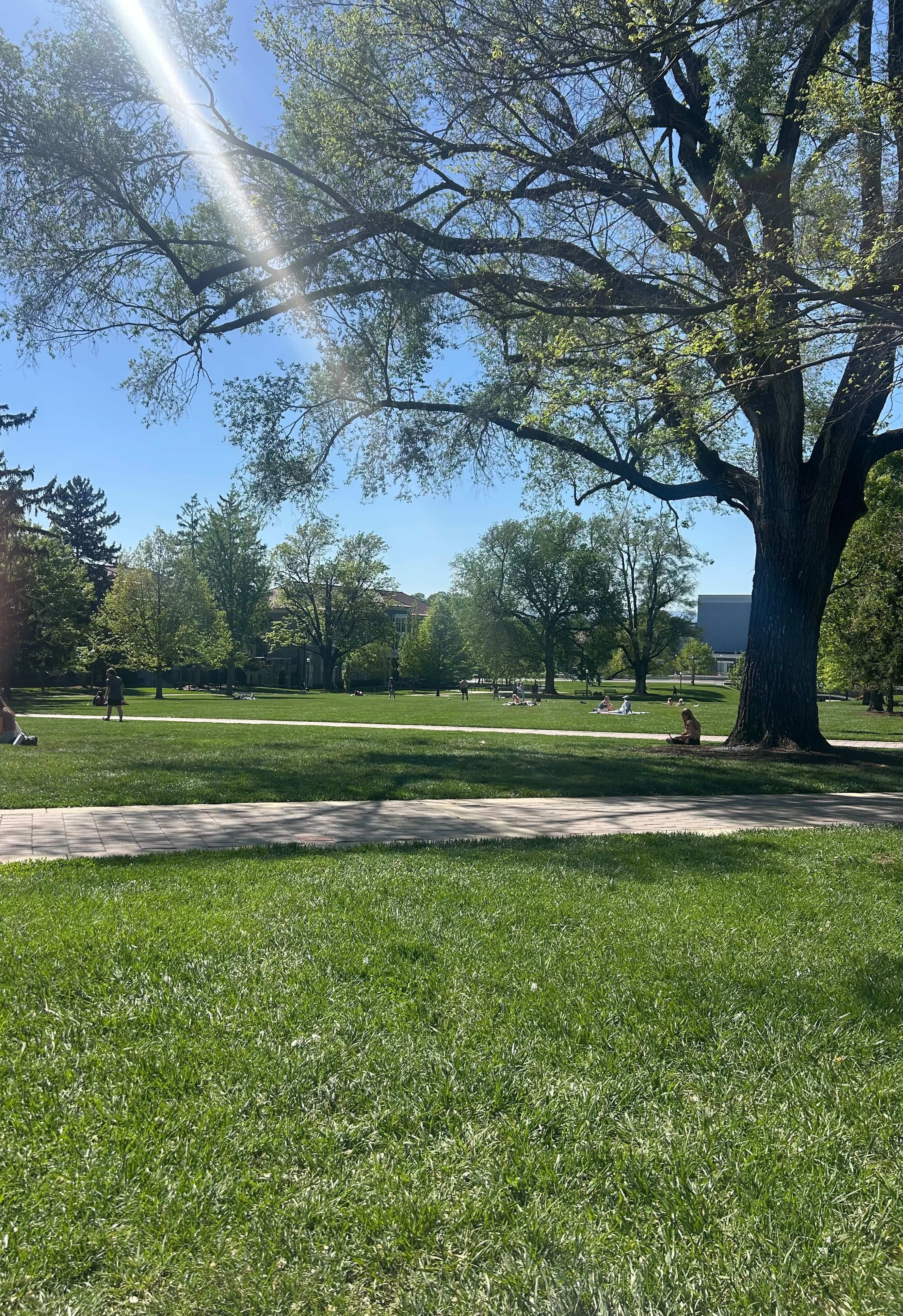 IMG 7686?width=500&height=500&fit=cover&auto=webp&dpr=4