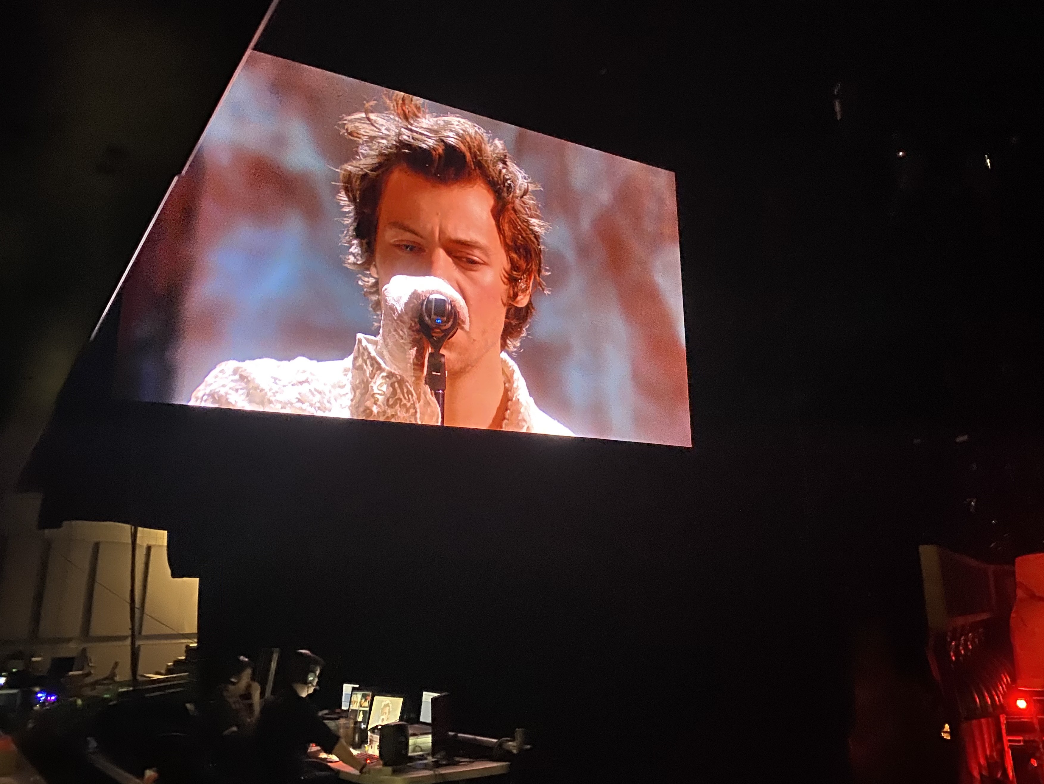 Harry Styles singing at a concert