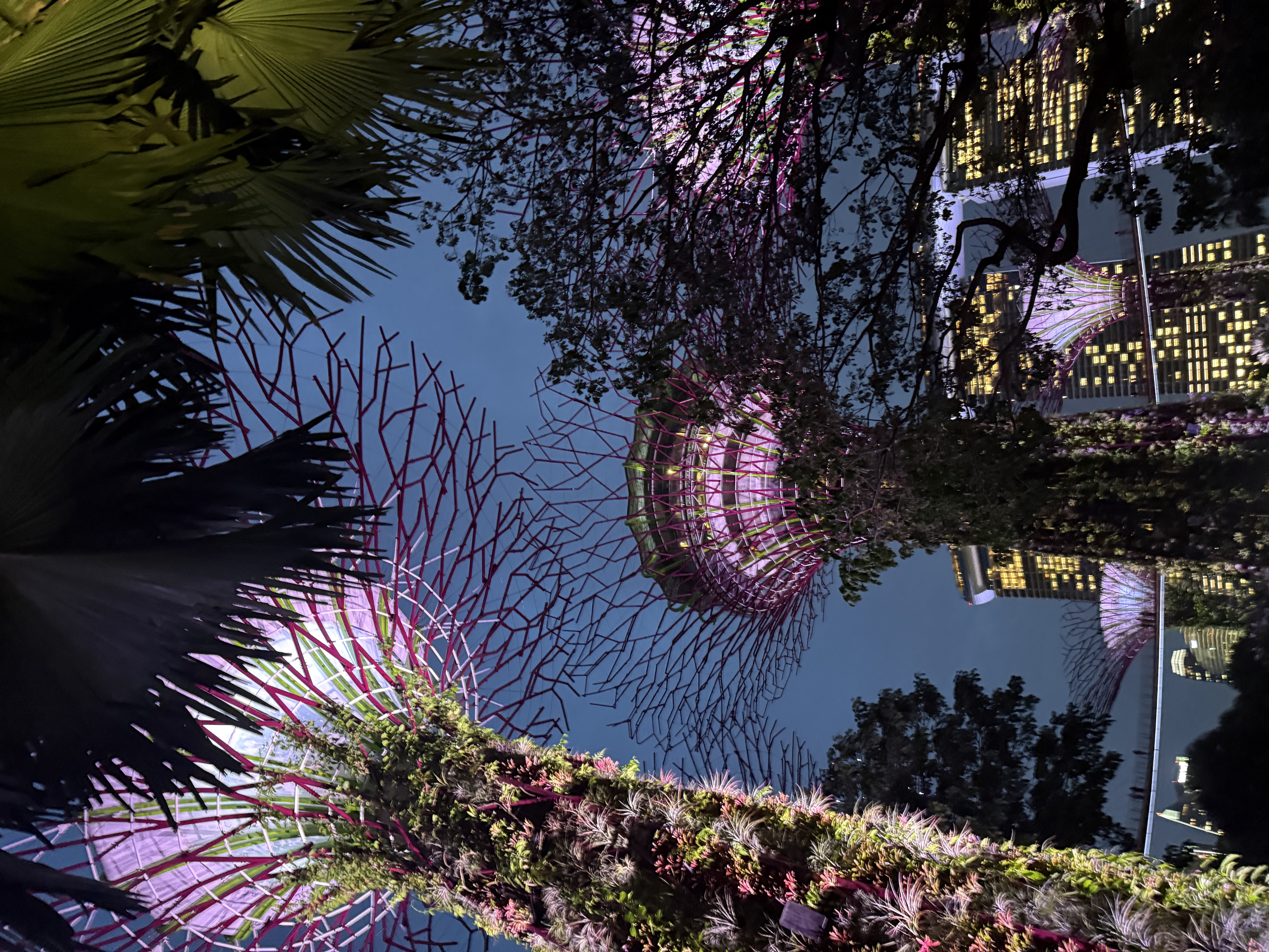 Light display at night from the Supertree grove in Singapore