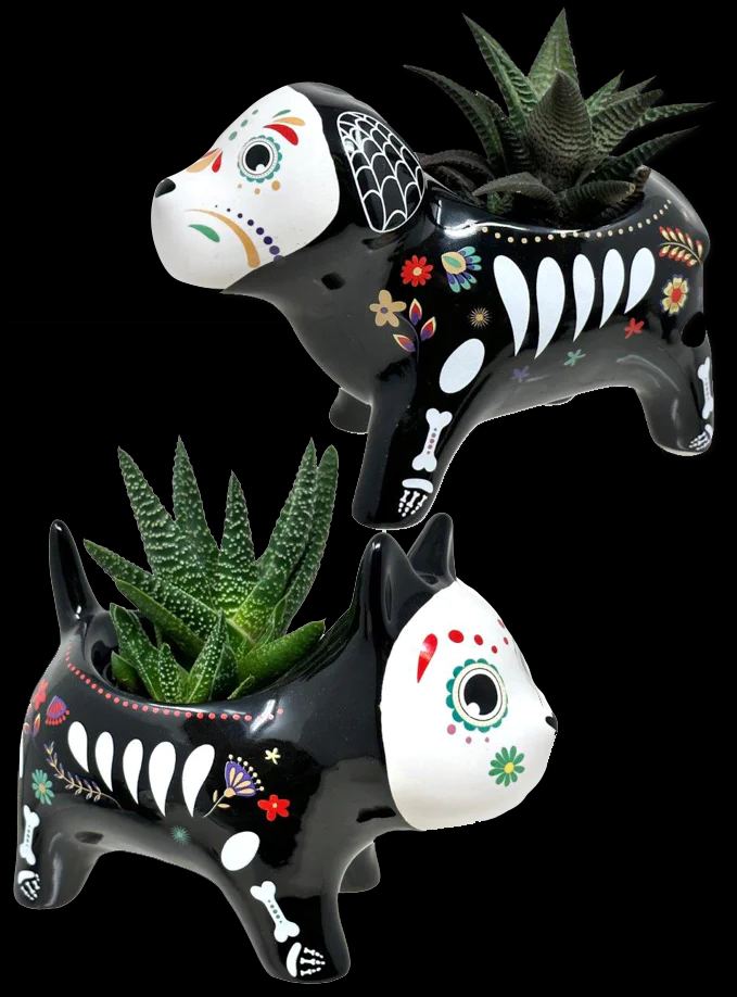 Tader Joe\'s Halloween Items