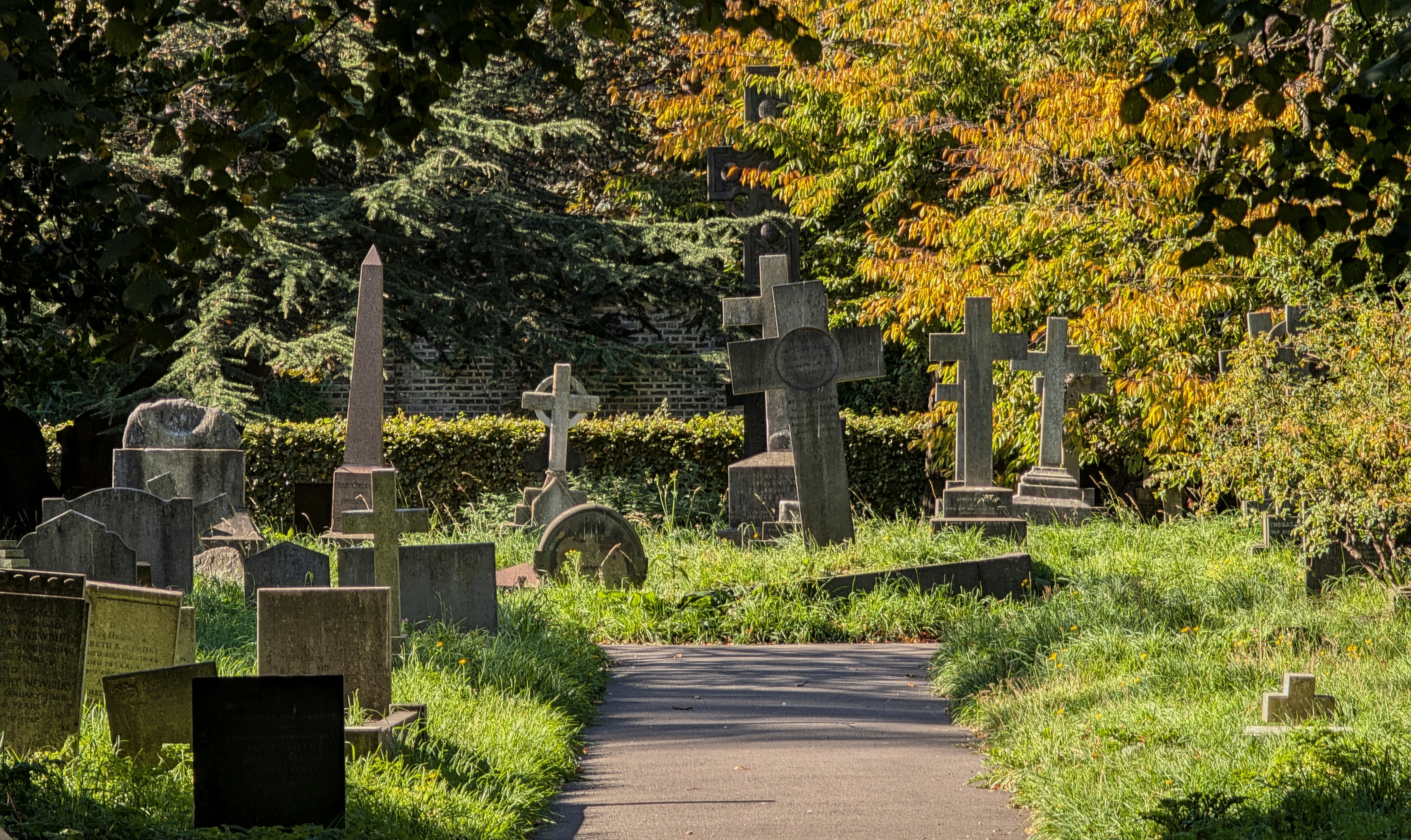 Gravestones under fall trees