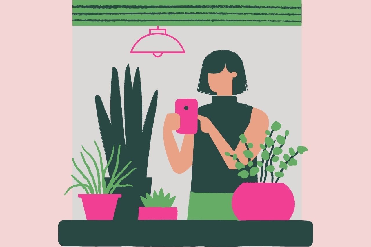 woman at home with plants and phone?width=698&height=466&fit=crop&auto=webp&dpr=4