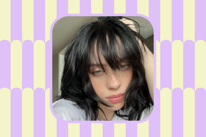 billie eilish wildflower lyrics?width=698&height=466&fit=crop&auto=webp