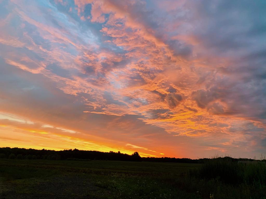 Sunset with pink sky by Haley Carr?width=698&height=466&fit=crop&auto=webp&dpr=4