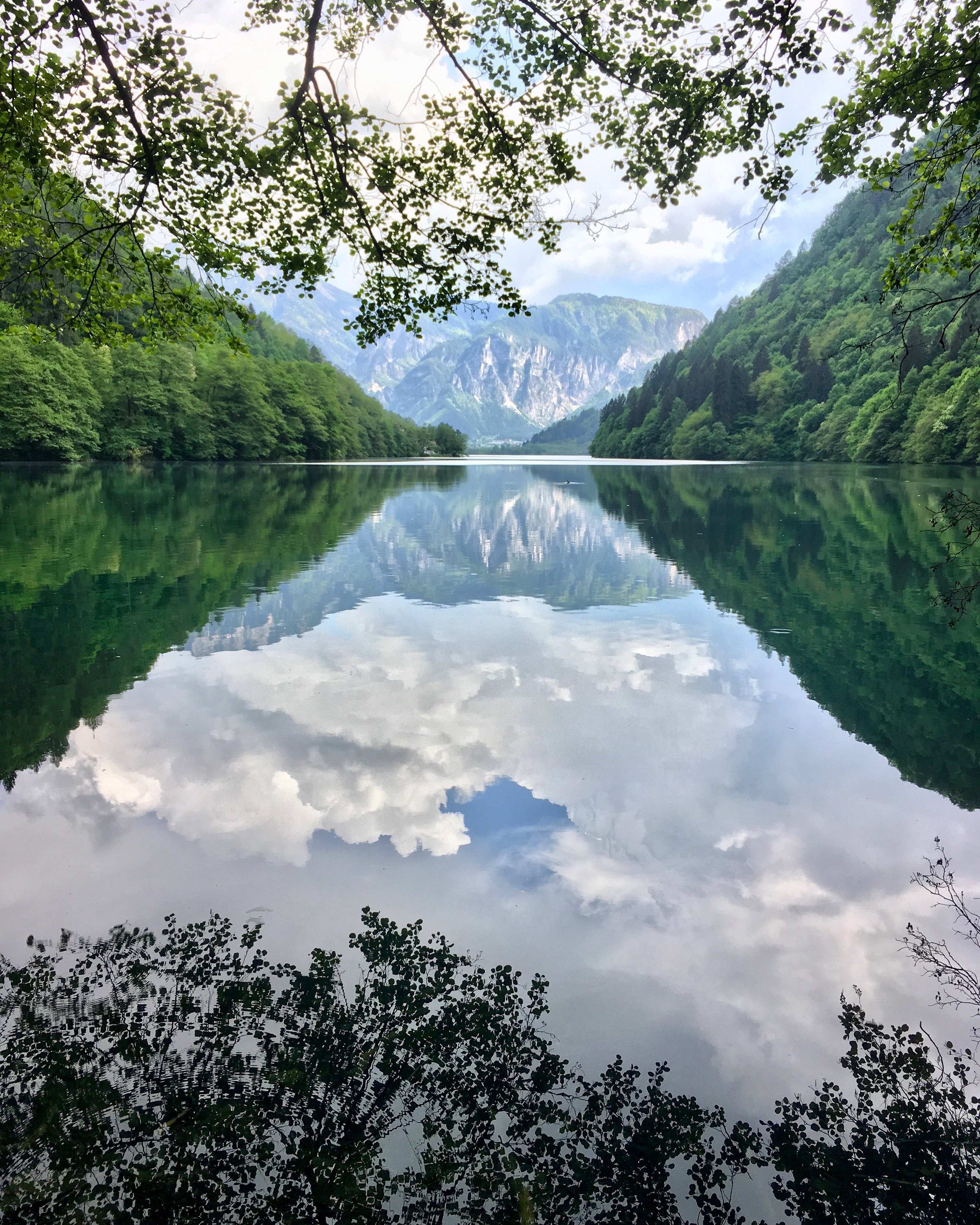 Trees and mountains reflected in blue water.