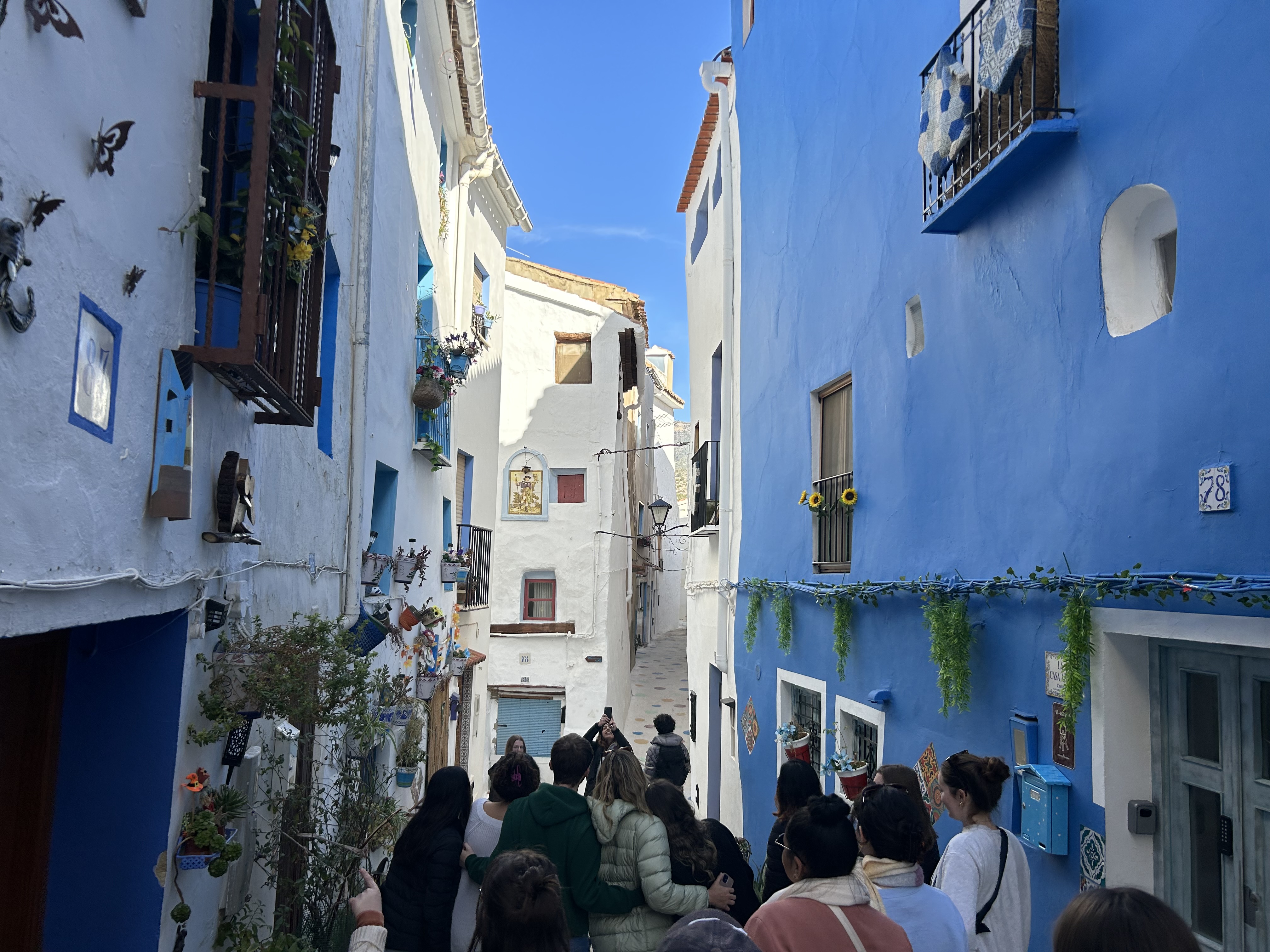 img 2248jpg by Gabriella Stanley?width=698&height=466&fit=crop&auto=webp&dpr=4