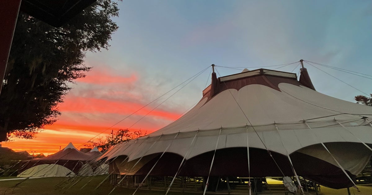 Flying High Into the FSU Flying High Circus' Spring Shows