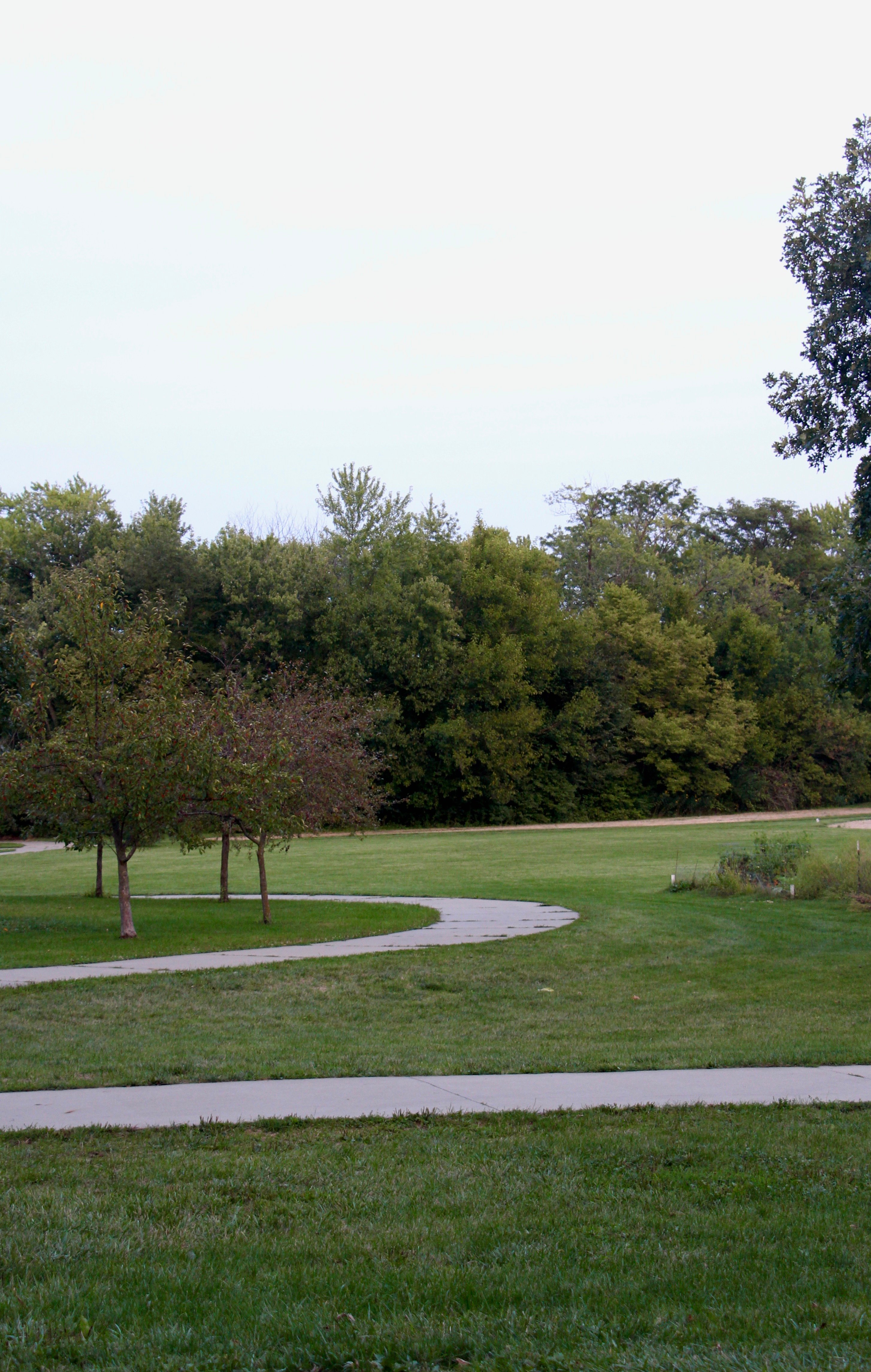 Park by Mia Knapp?width=698&height=466&fit=crop&auto=webp&dpr=4