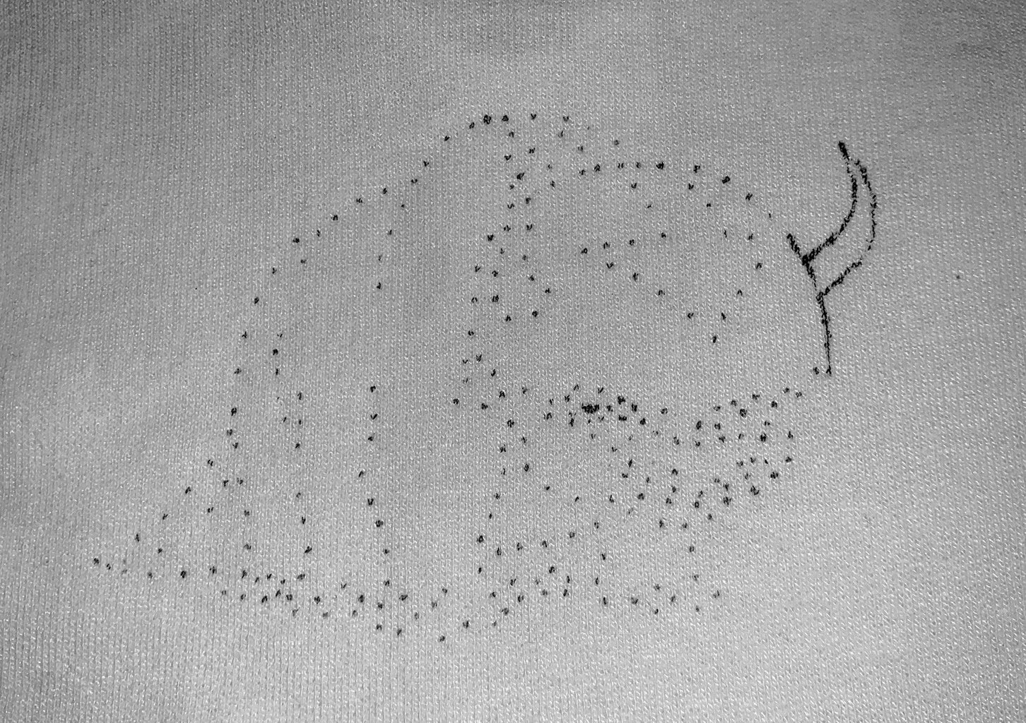 step 3 appa embroidery, connecting dots