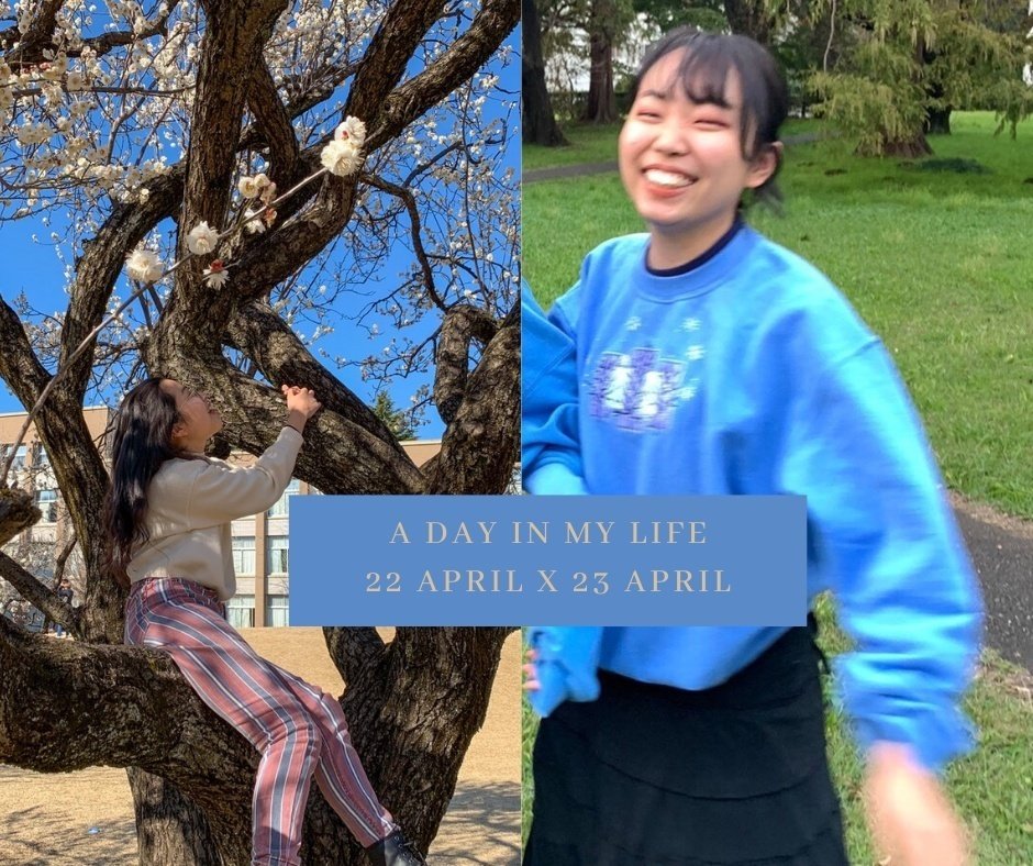 hero image for a day in my life