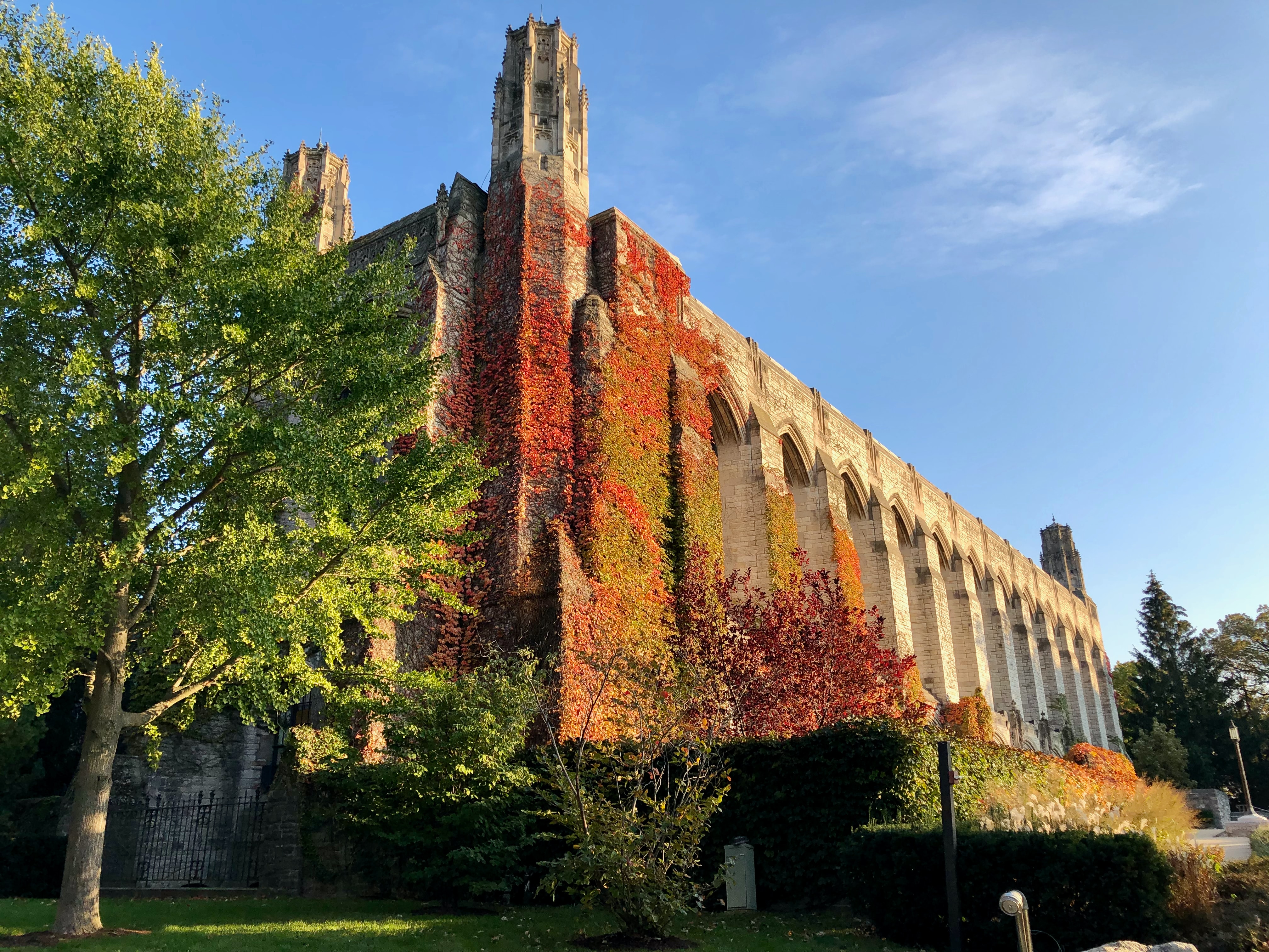 northwestern?width=1024&height=1024&fit=cover&auto=webp&dpr=4