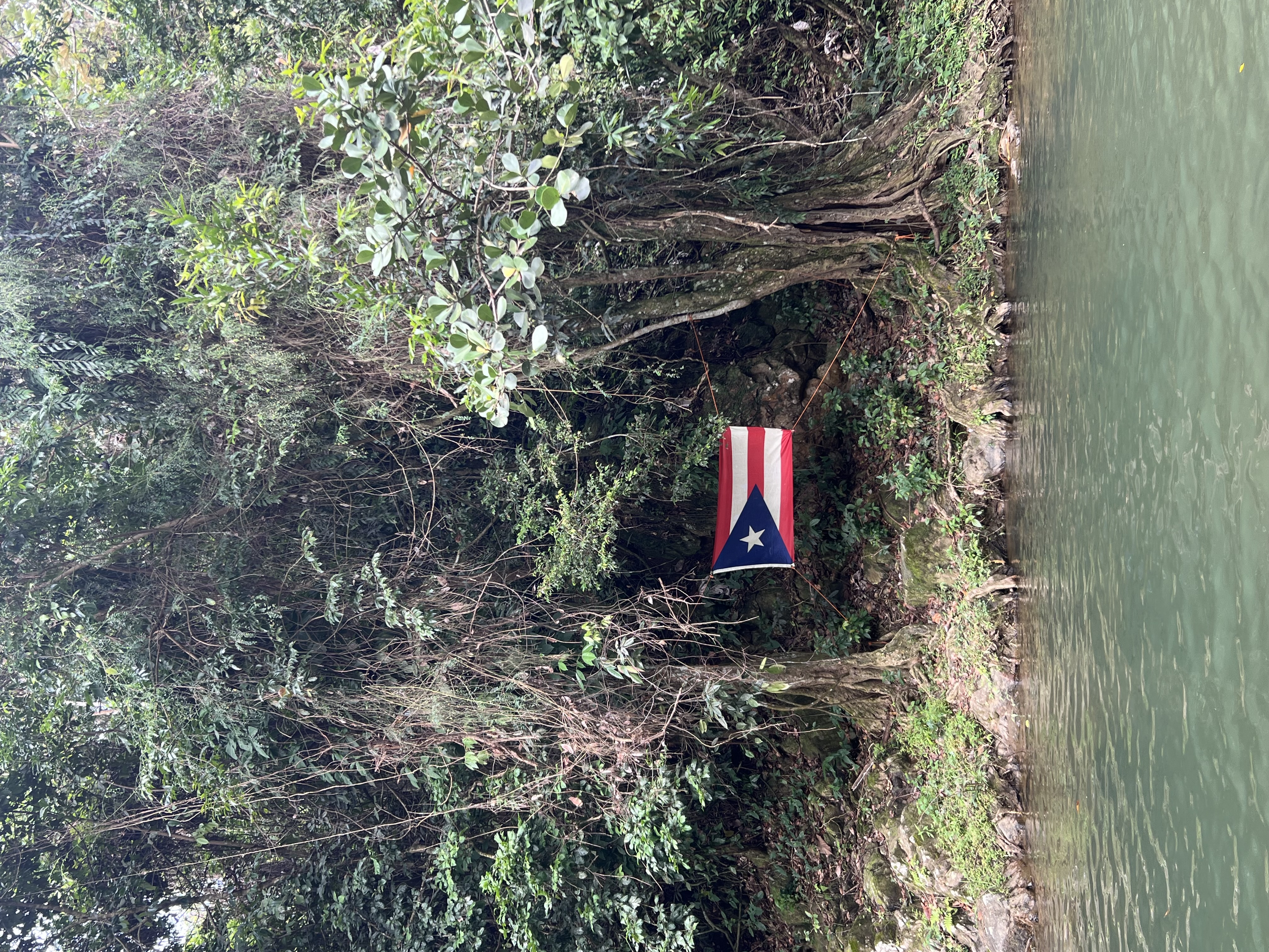 img 6329jpegjpg by Elizabeth Morales?width=698&height=466&fit=crop&auto=webp&dpr=4