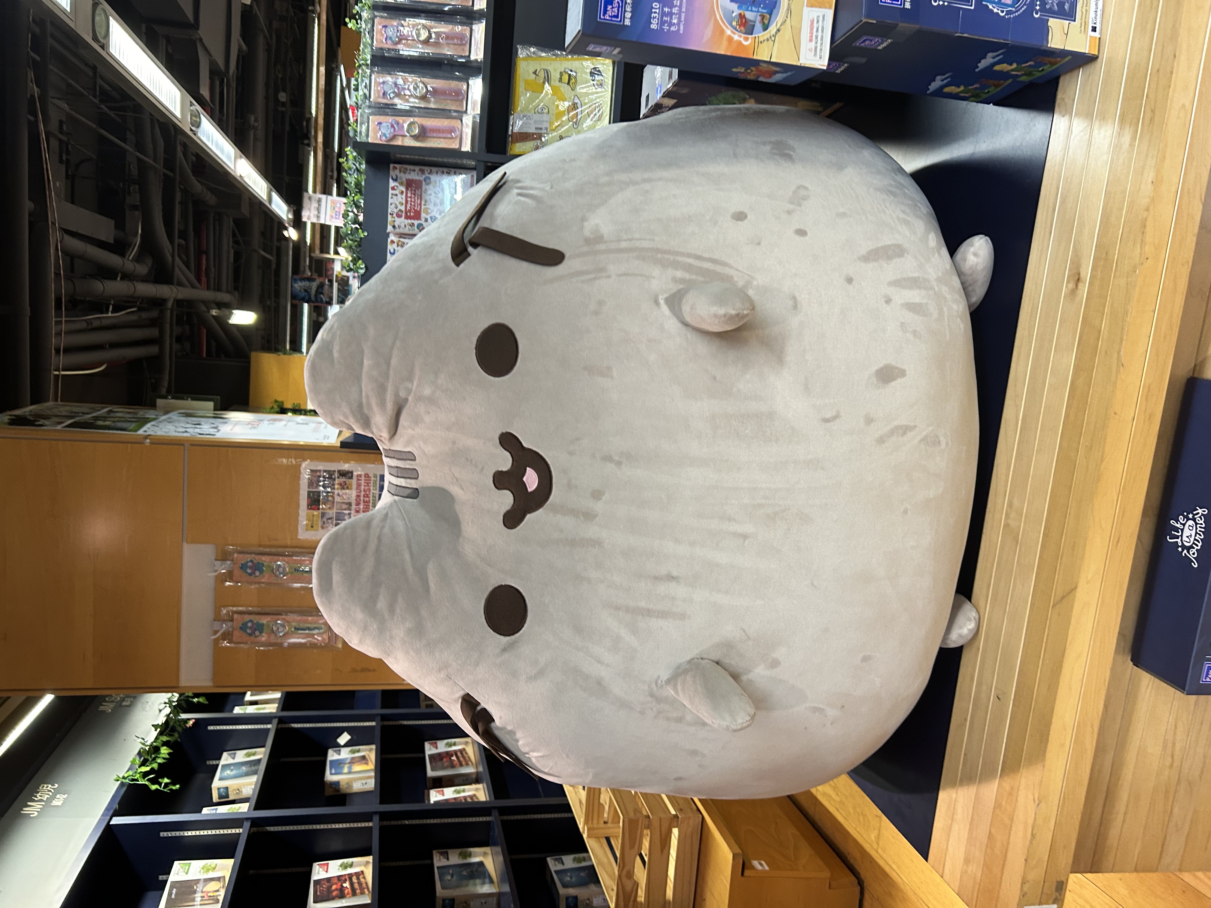 pusheen stuff animal on display