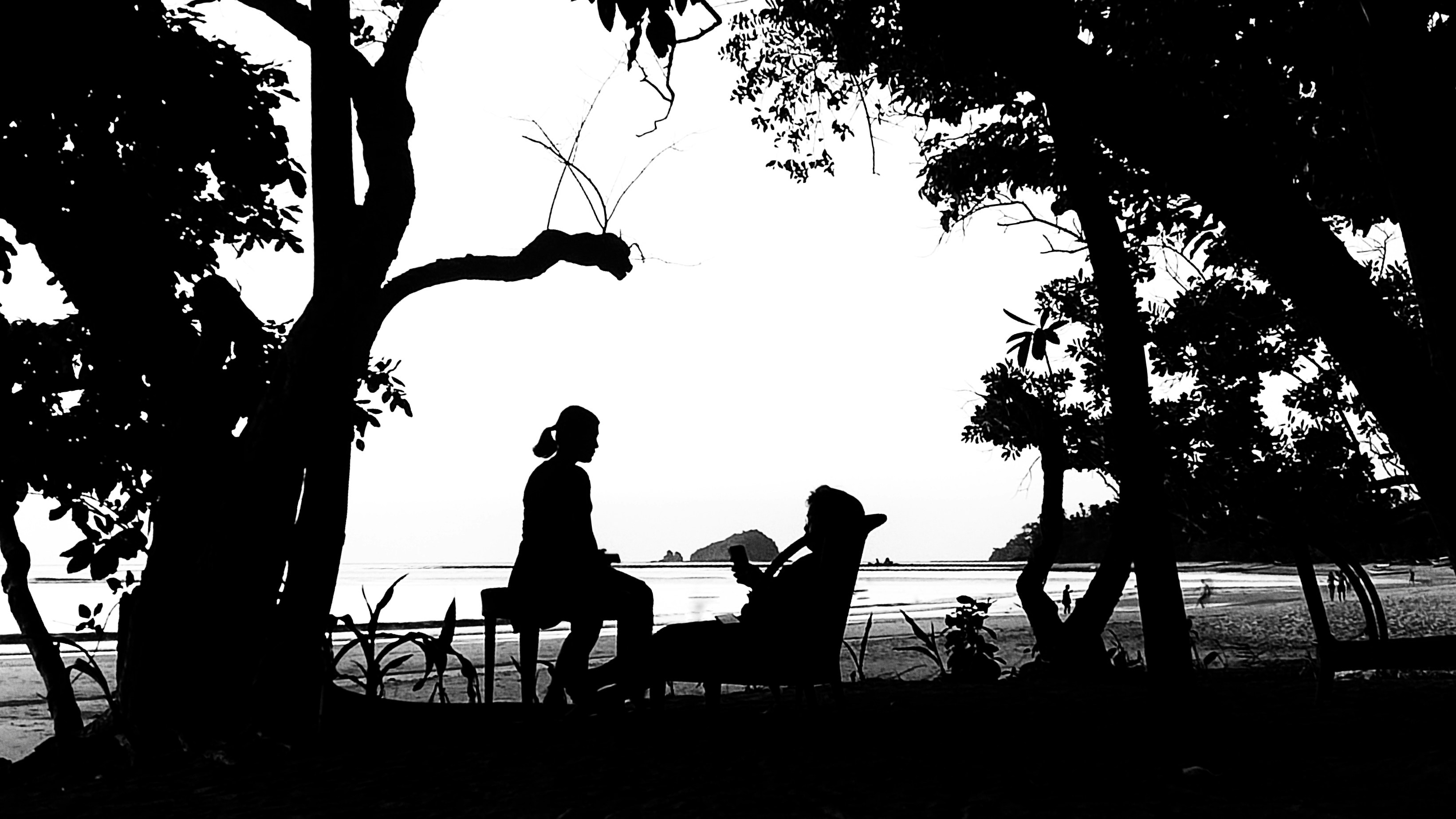 a couple of people sitting on a bench under a tree