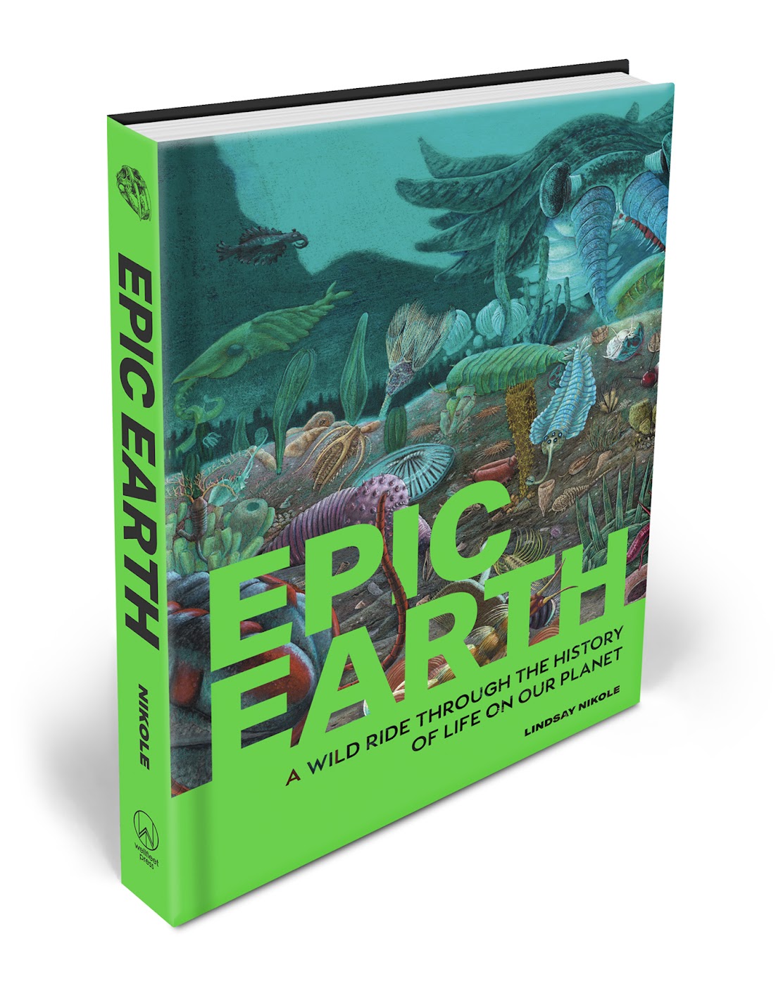 Lindsay Nikole Dream Jobs