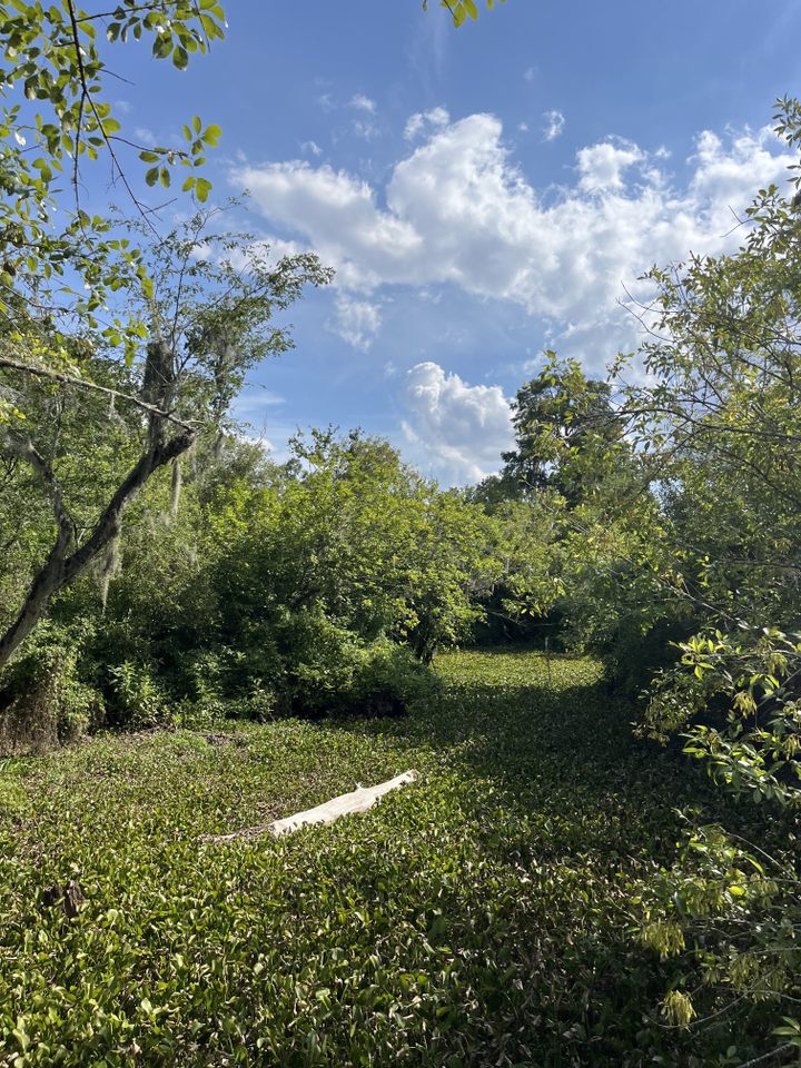 nature park in tampa