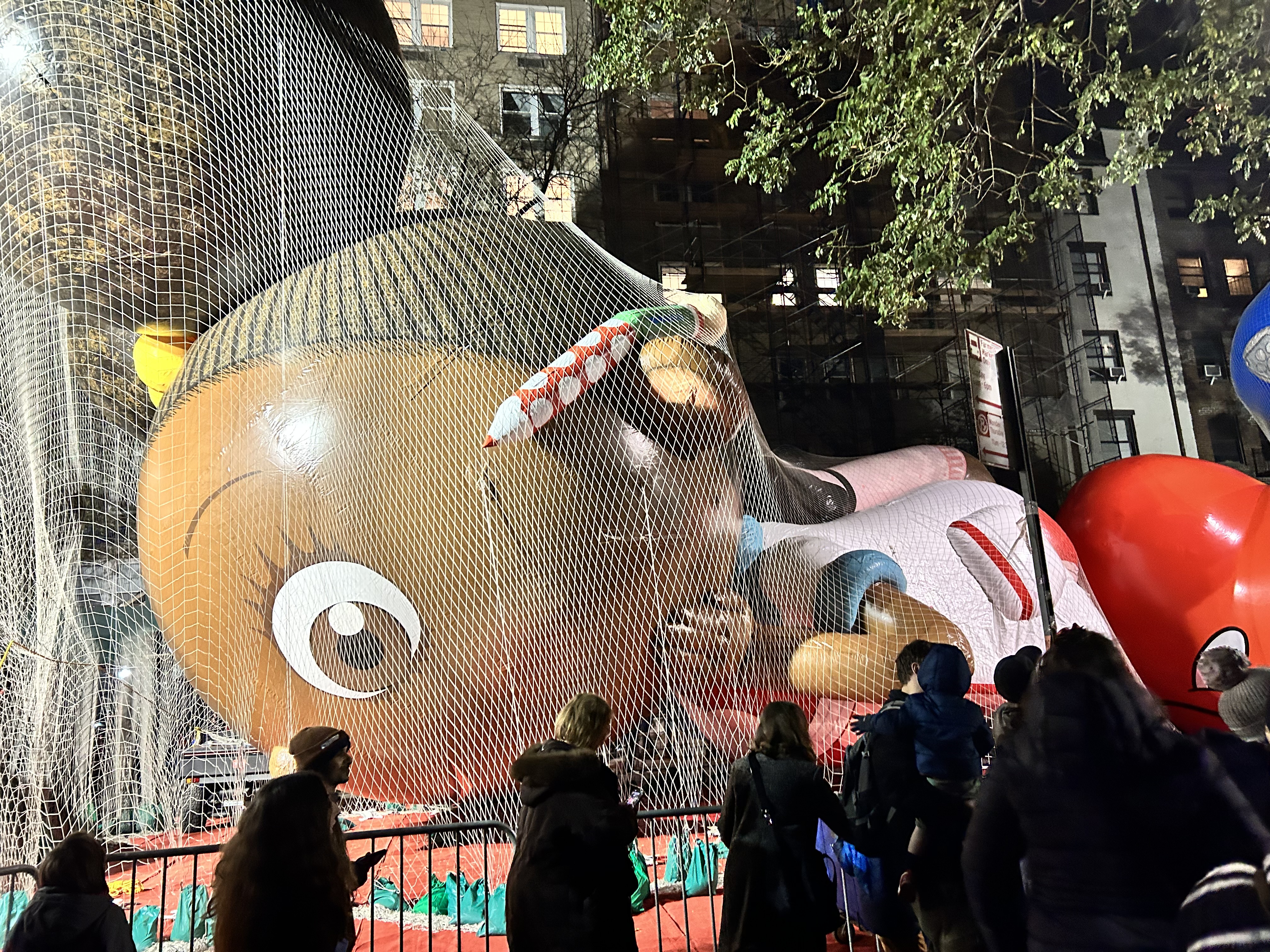 Holiday Photos in the City