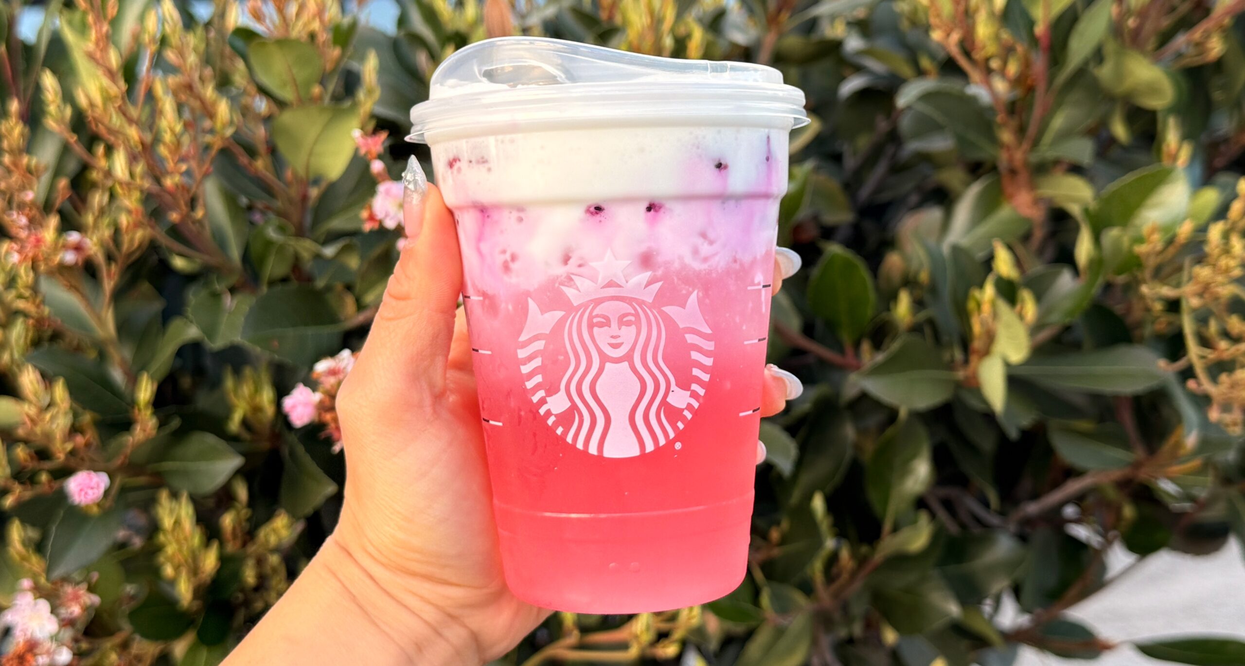 starbucks cannonballdrink