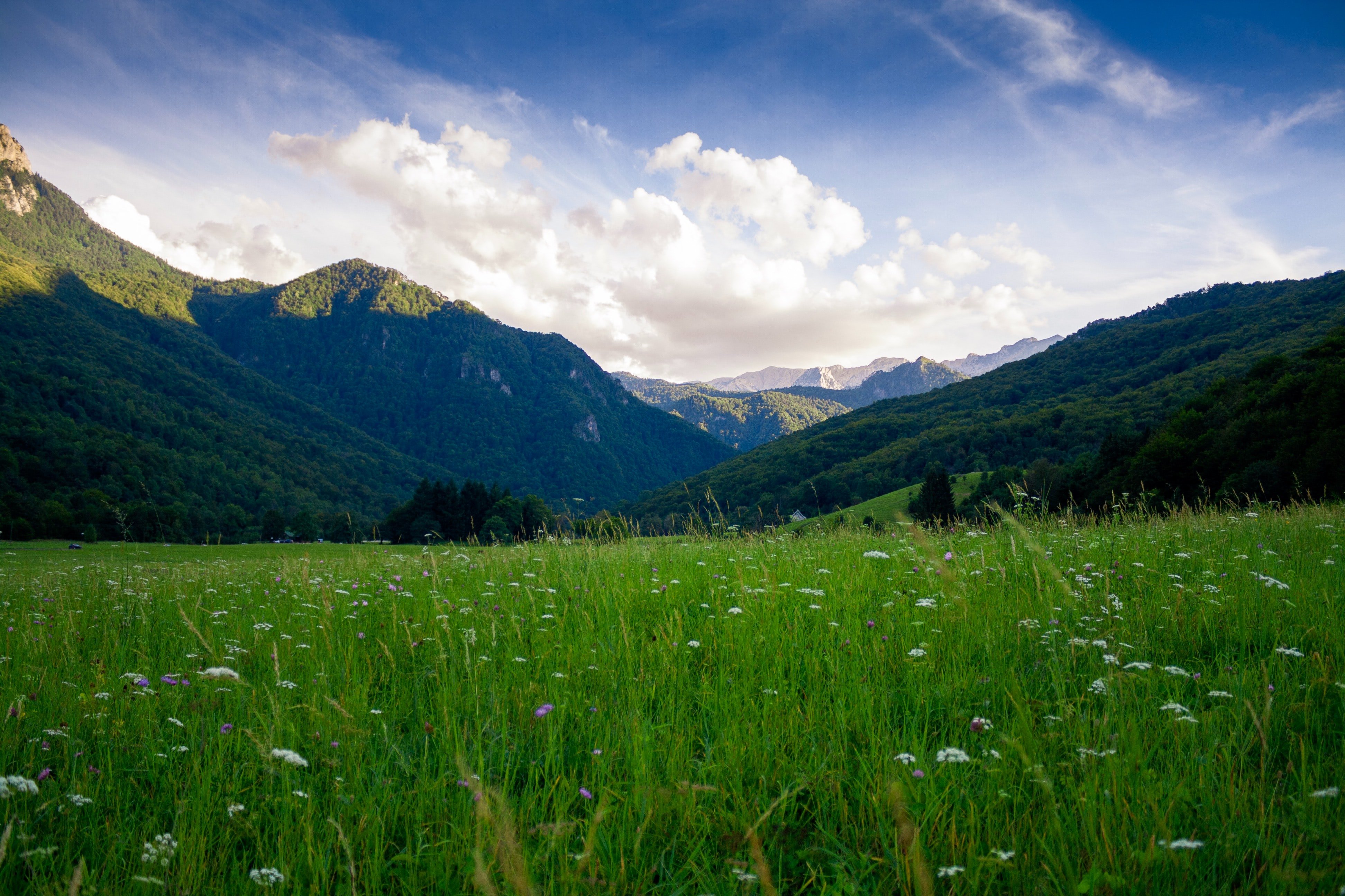 grass field and mountains by Nikola Majksner?width=698&height=466&fit=crop&auto=webp&dpr=4