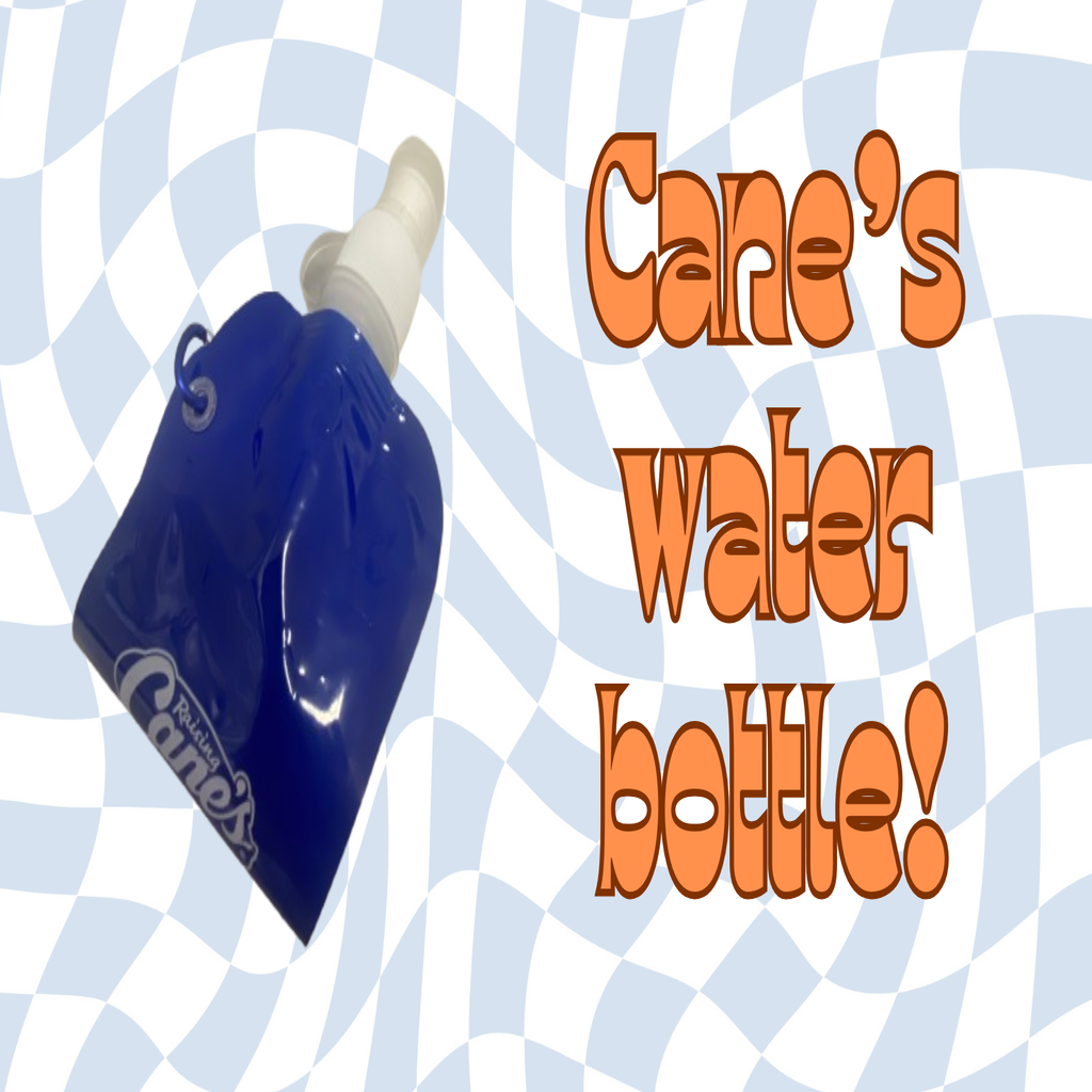 Reusable roll up water bottle with text \