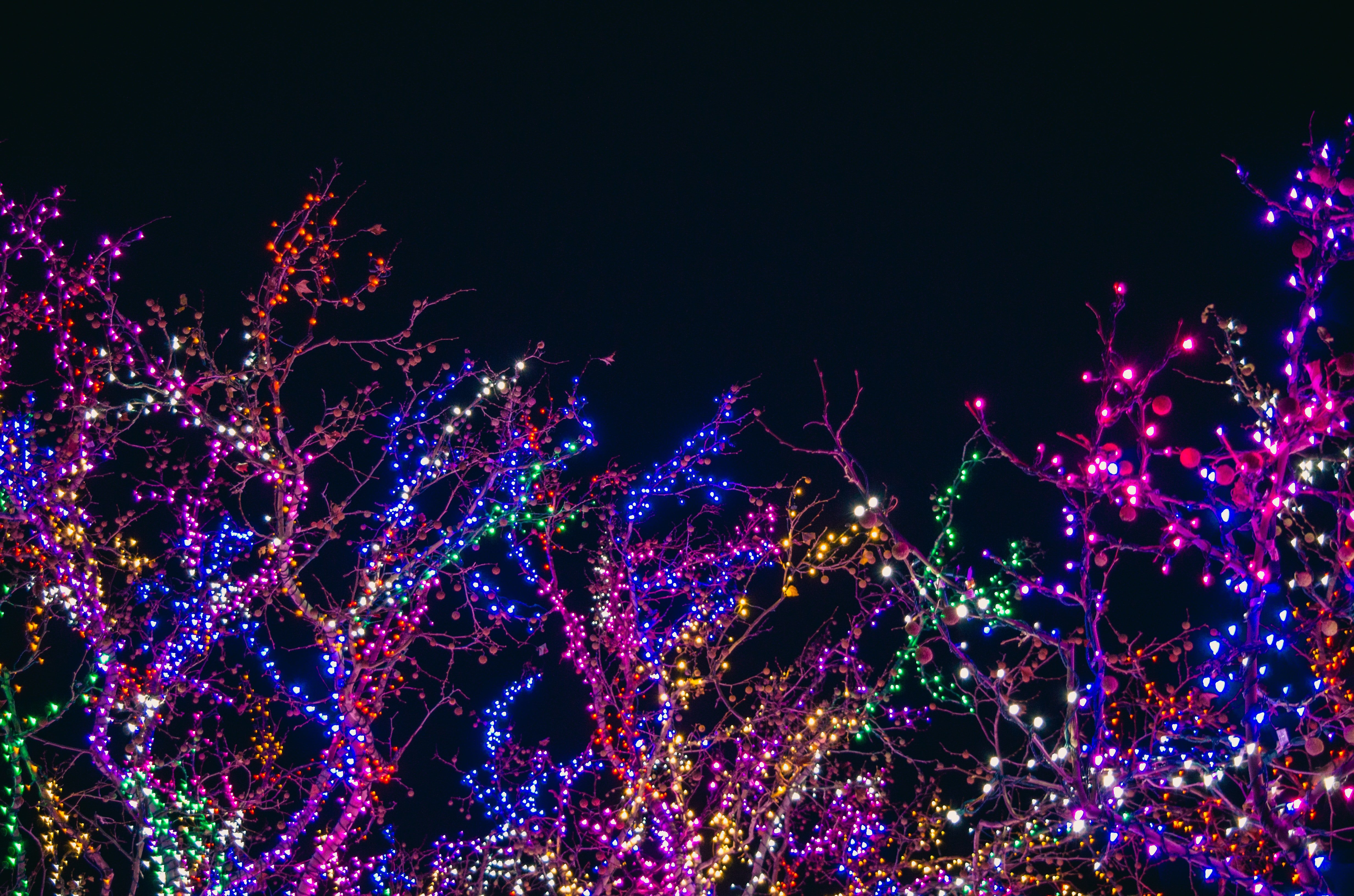 colorful christmas lights by Jonathan Meyer?width=698&height=466&fit=crop&auto=webp&dpr=4