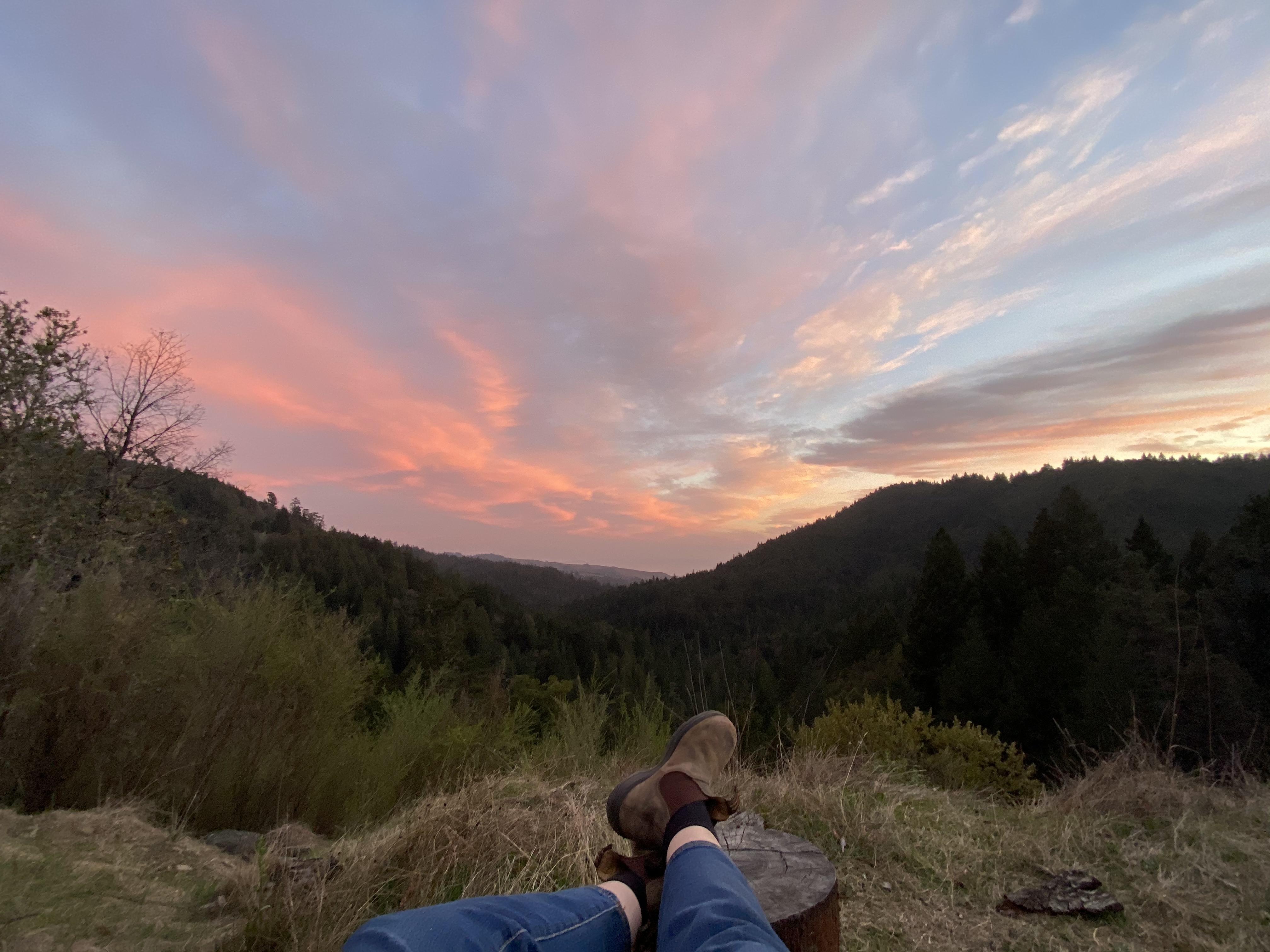 img 5241jpg by Danielle Efrat