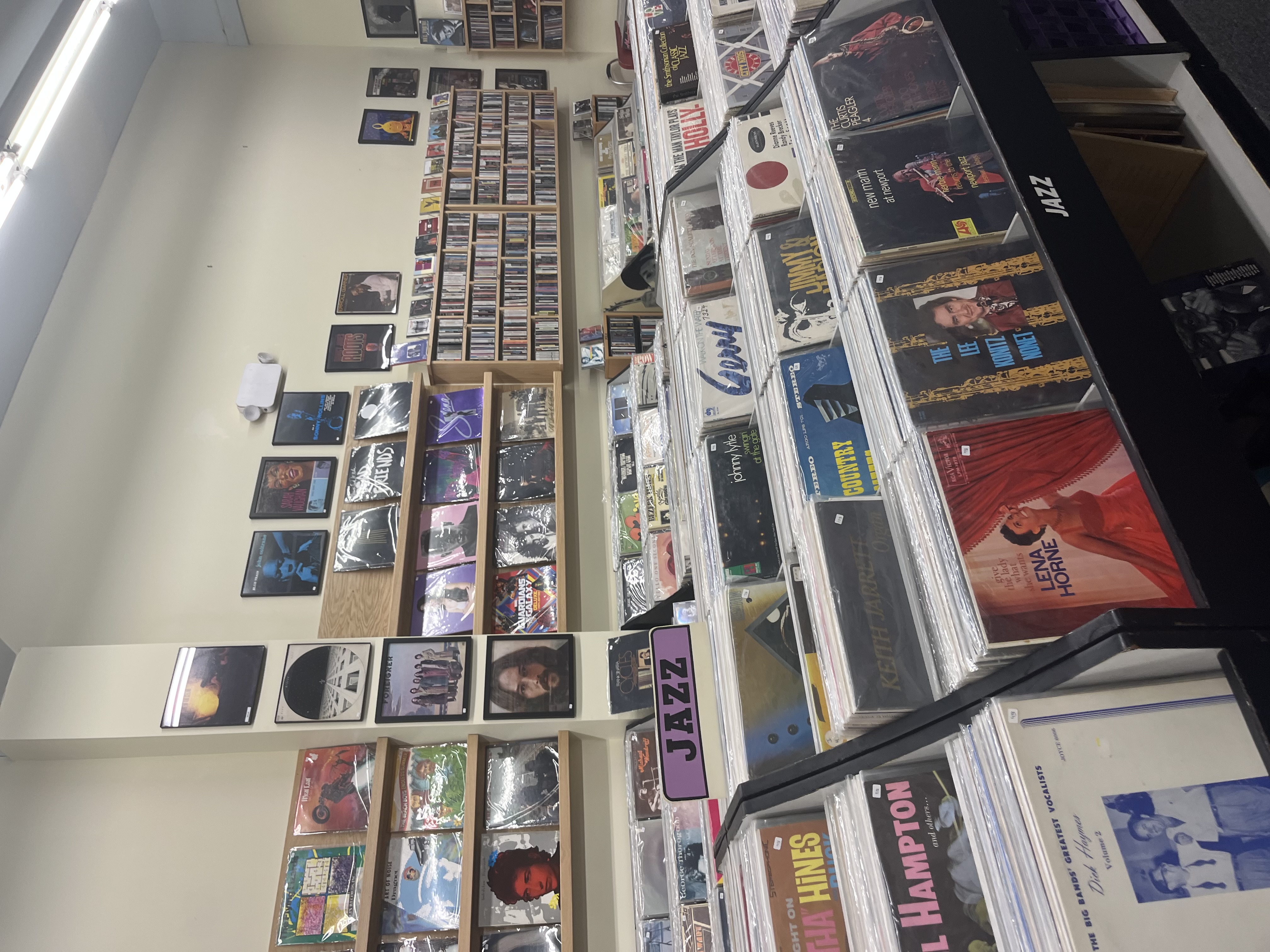Image of Records in a local bookstore called Last Exit Books